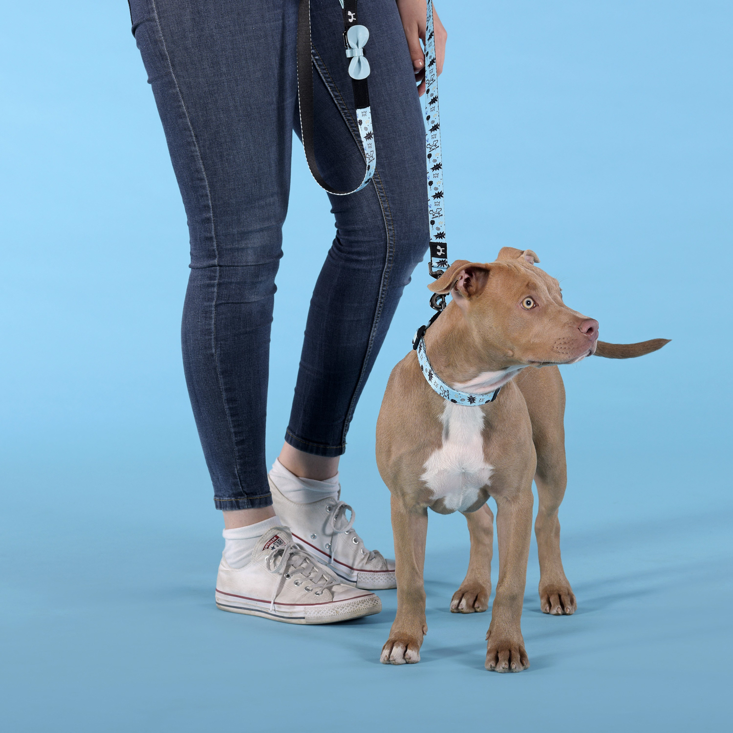 Ошейник United Pets для собак Complete me Writing L 43-73/2,5 см, голубой с рисунком СКИДКА 30%