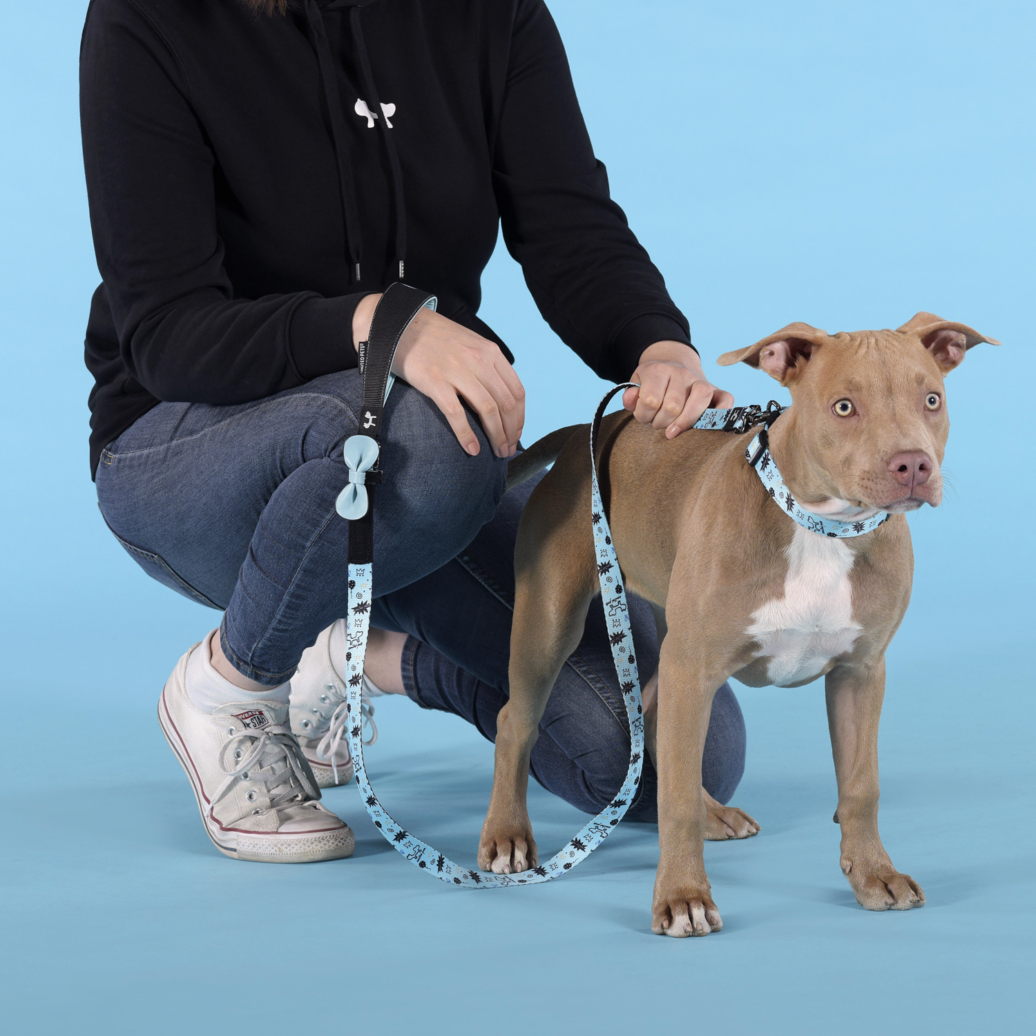 Ошейник United Pets для собак Complete me Writing L 43-73/2,5 см, голубой с рисунком СКИДКА 30%