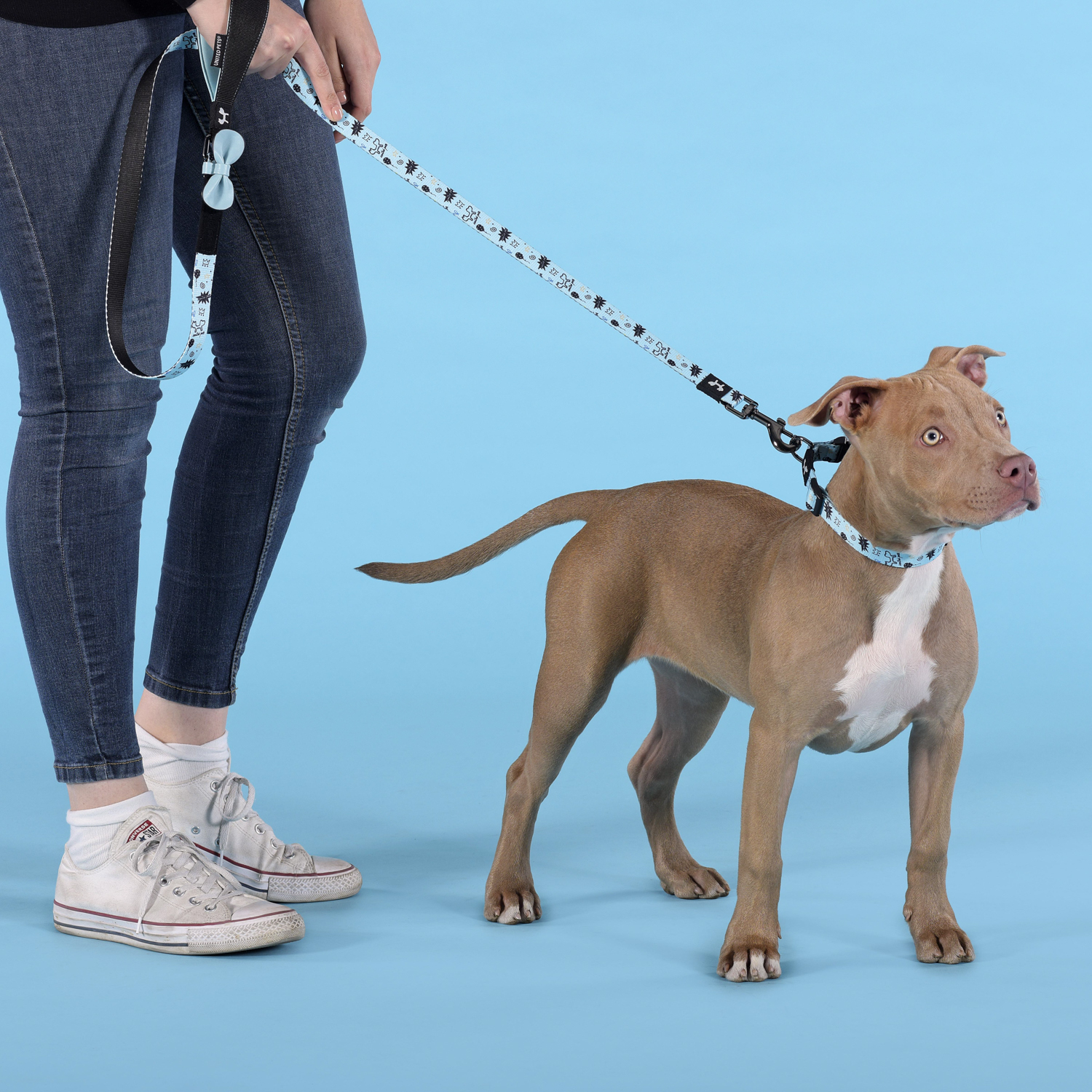 Ошейник United Pets для собак Complete me Writing L 43-73/2,5 см, голубой с рисунком СКИДКА 30%