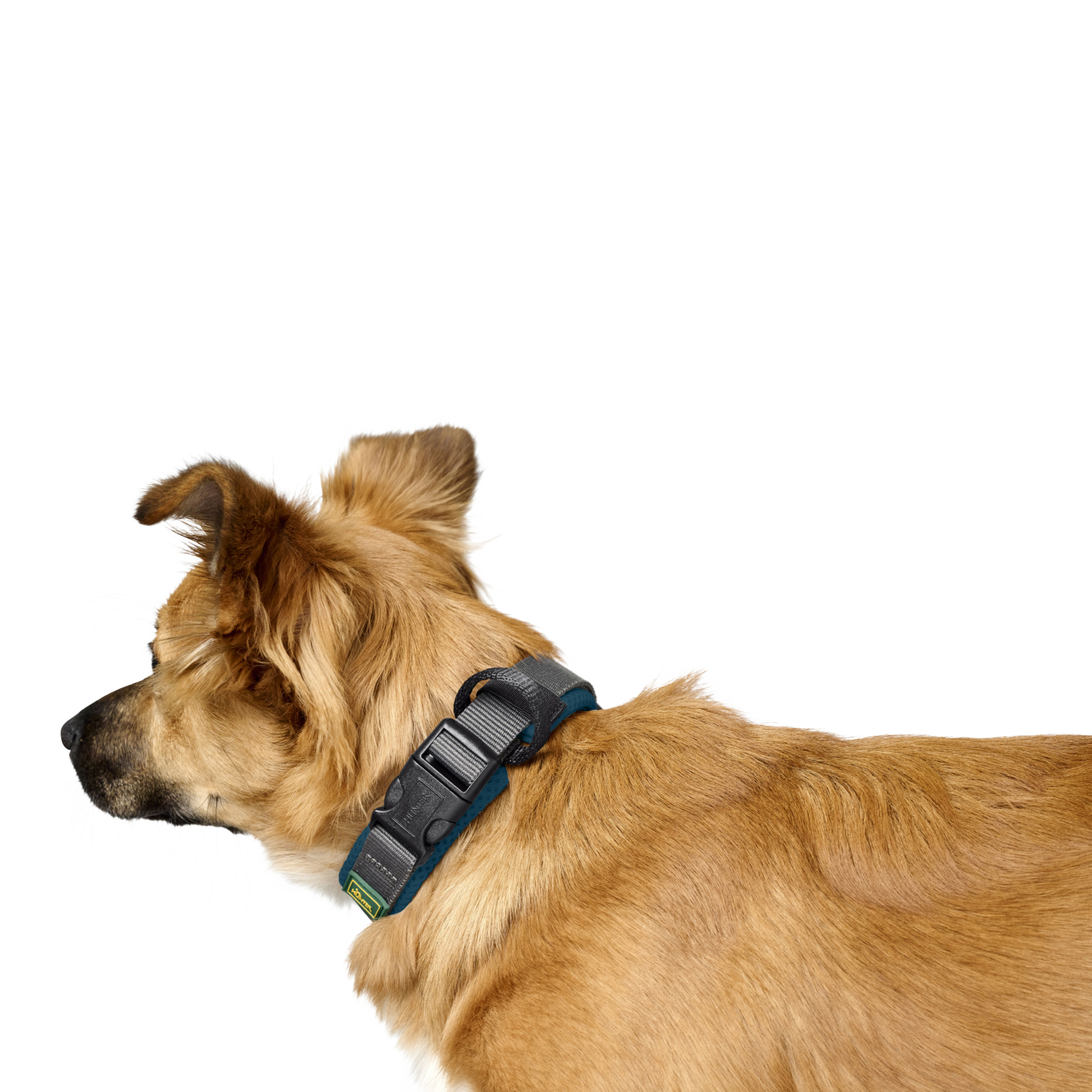 Ошейник Hunter Maldon для собак 25-35 см, размер XS-S, бирюзовый/серый