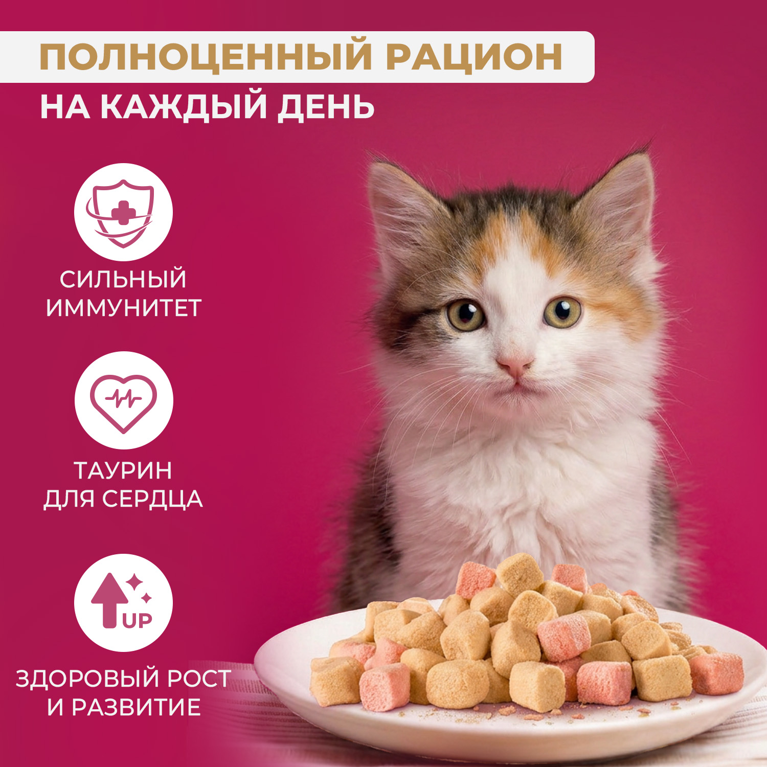 Полнорационный сухой (сублимированный) корм Ranova CN для котят с курицей, 6 г