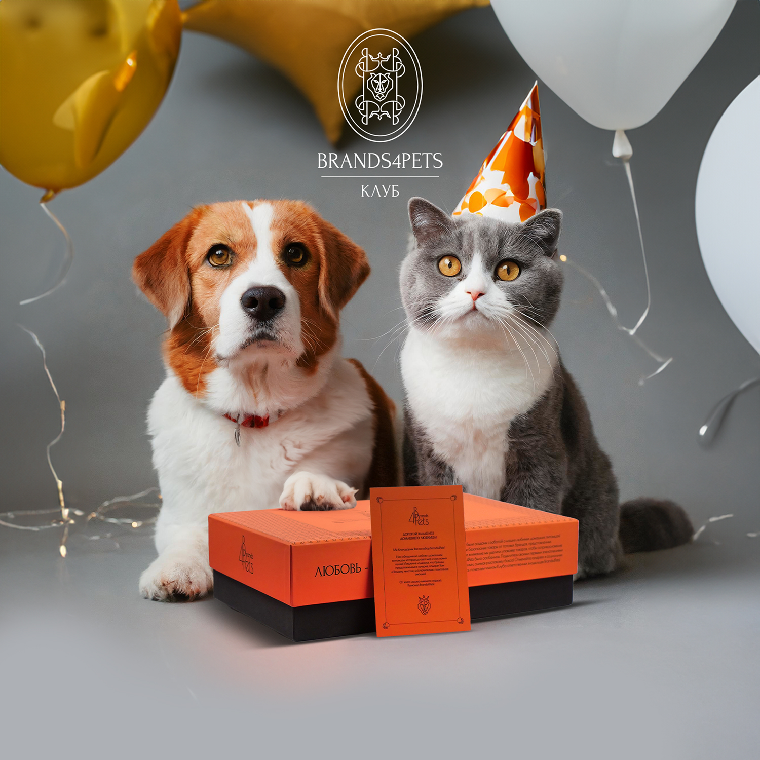 Эксклюзивный бокс Brands4Pets для кошек