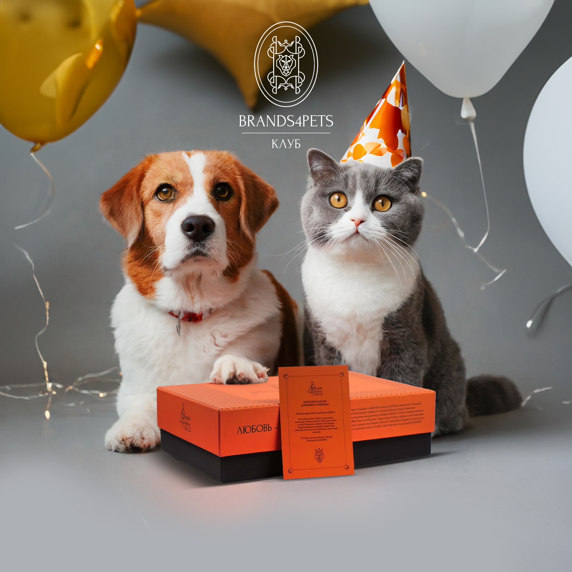 Эксклюзивный бокс Brands4Pets для кошек