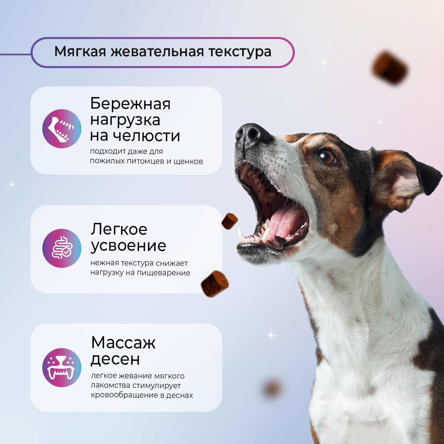 Favet Функциональное лакомство PetPantel Soft Chews для мышц и суставов для собак, 120г