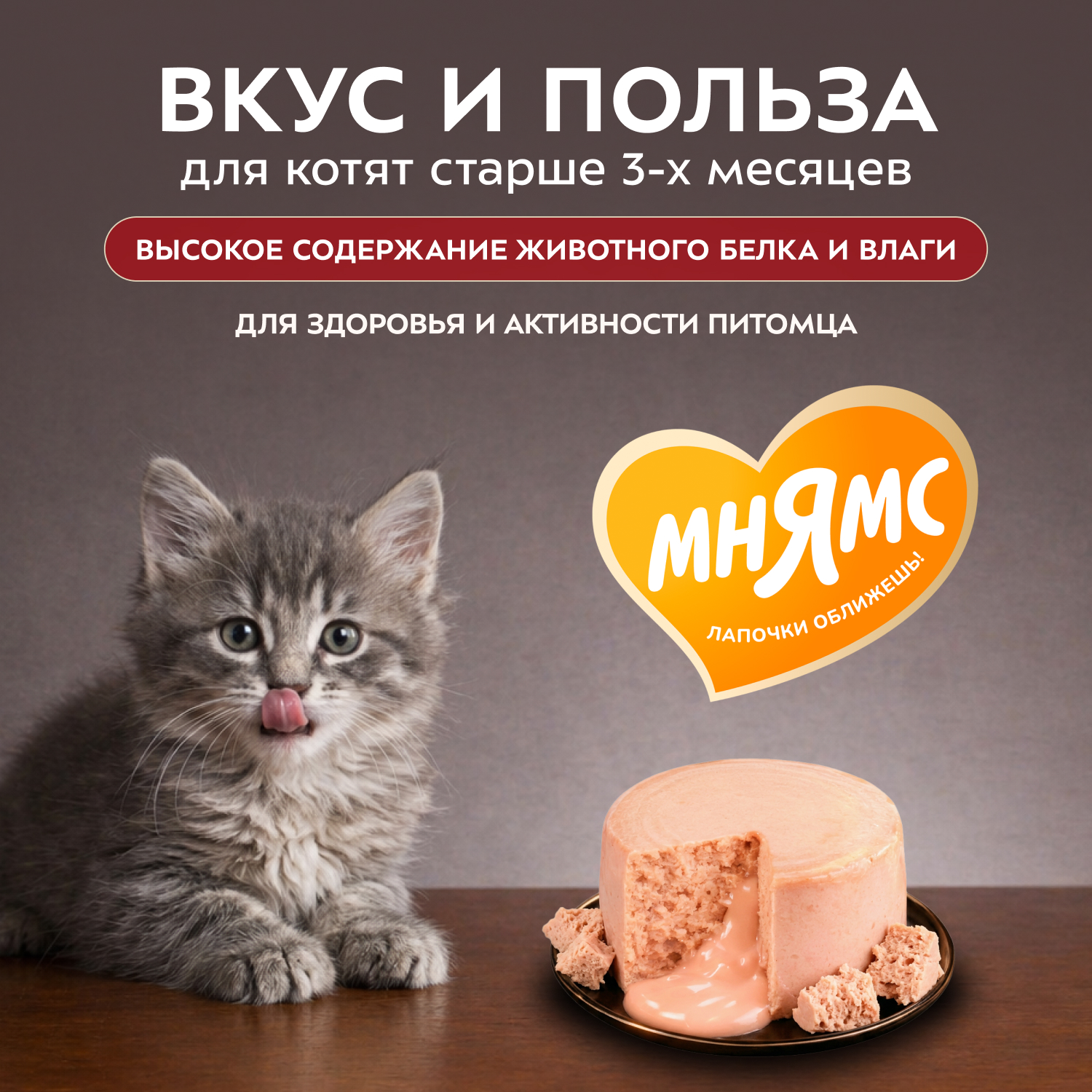 Влажный корм Мнямс Деликатес "Фондан" из мяса курицы с козьим молоком для котят старше 3 месяцев 80 г