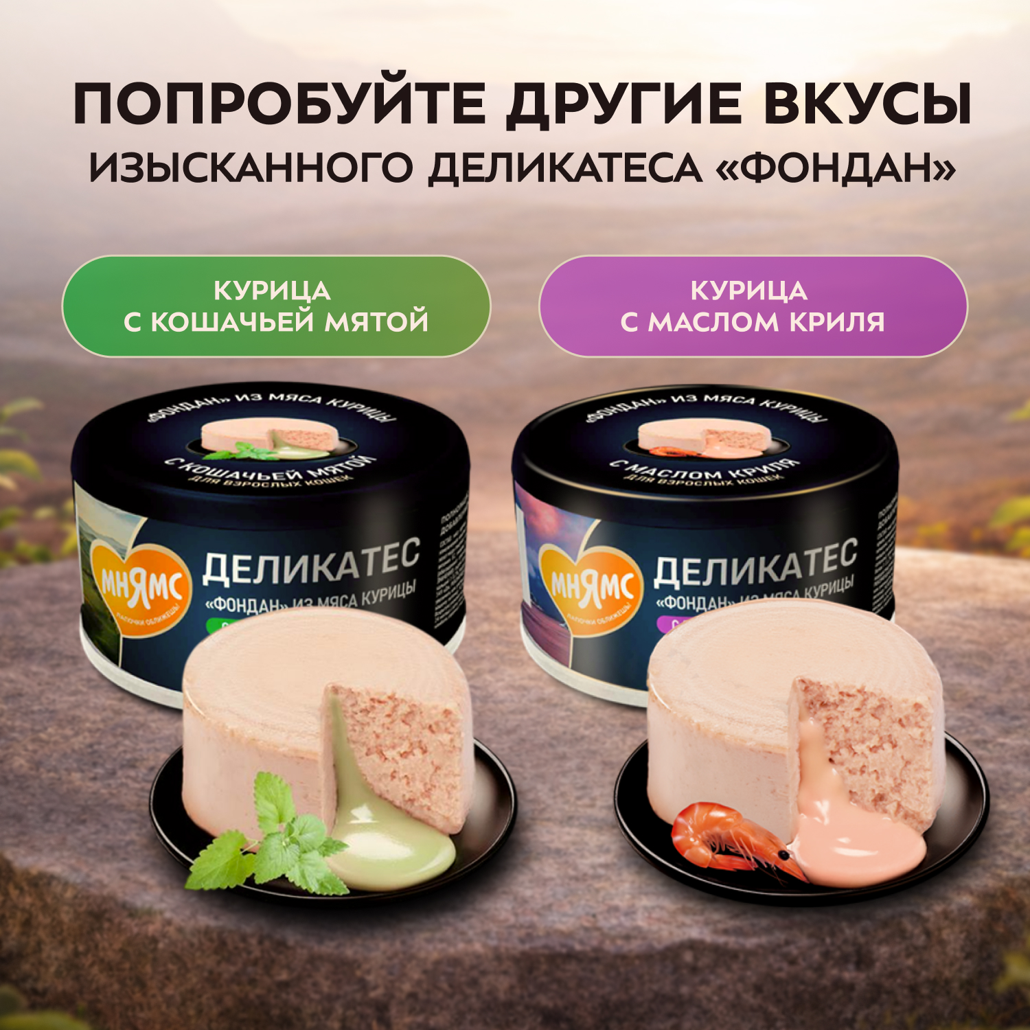 Влажный корм Мнямс Деликатес "Фондан" из мяса курицы с козьим молоком для котят старше 3 месяцев 80 г
