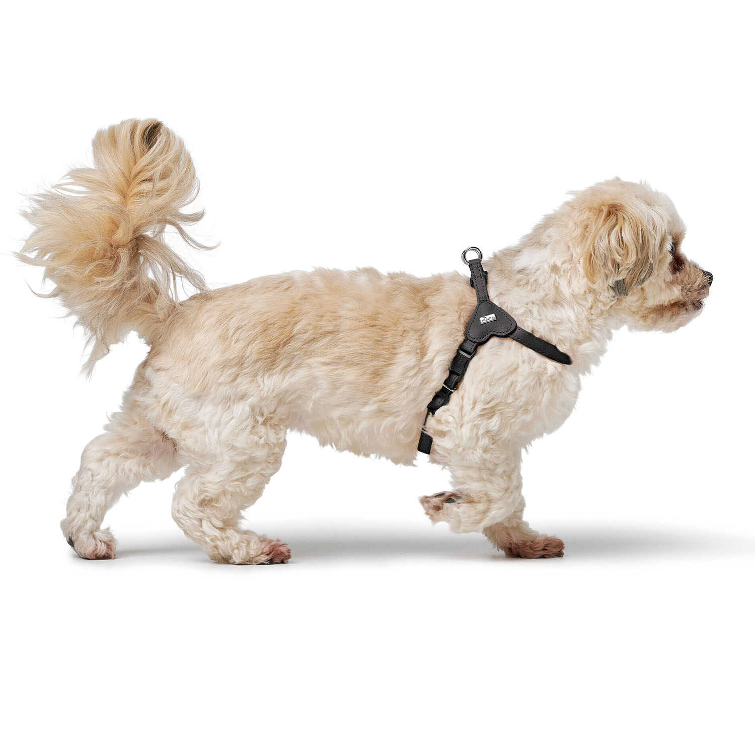 Hunter шлейка для собак Soho Mini XXS-XS (26-31 см), натуральная кожа, черная