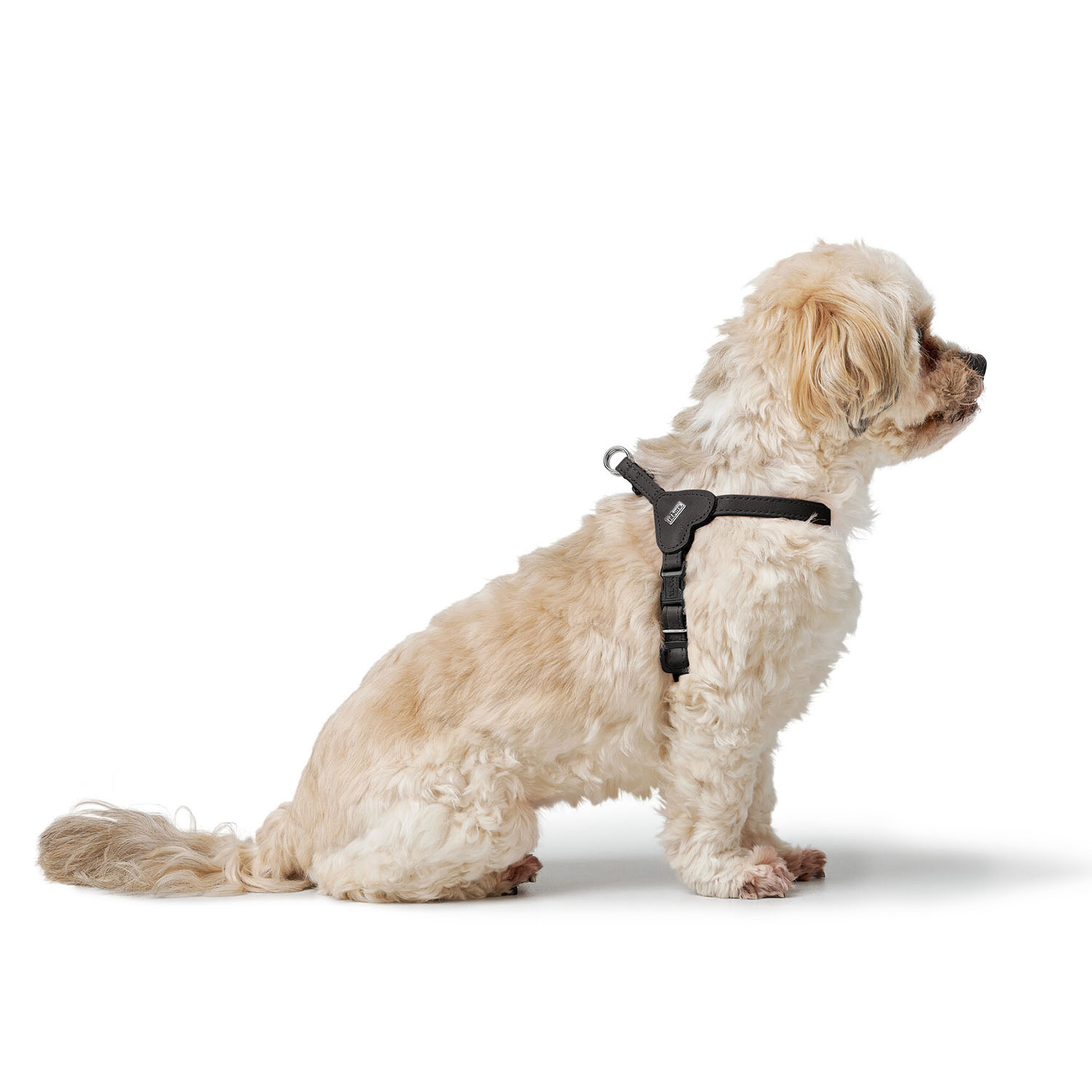 Hunter шлейка для собак Soho Mini XXS-XS (26-31 см), натуральная кожа, черная