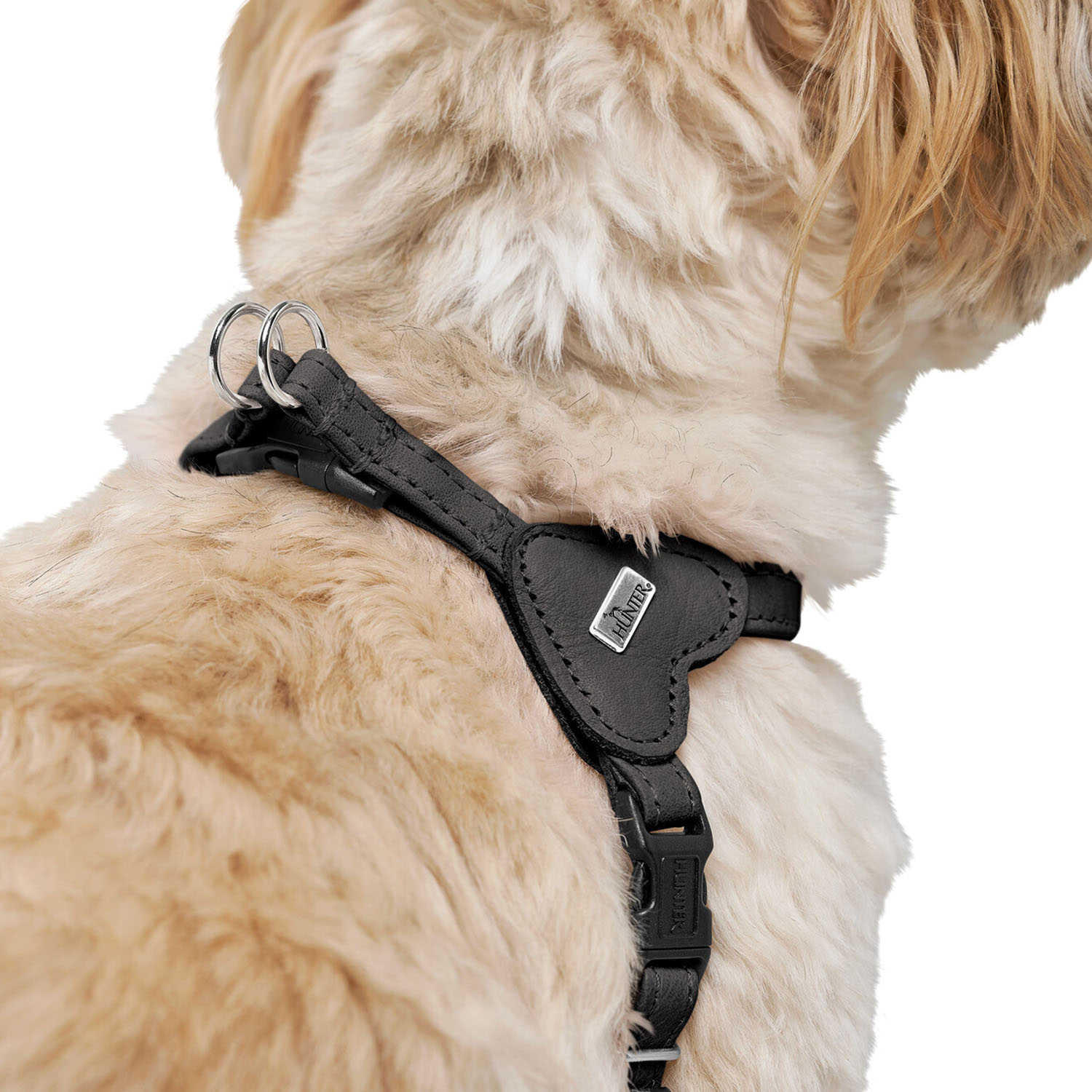 Hunter шлейка для собак Soho Mini XXS-XS (26-31 см), натуральная кожа, черная