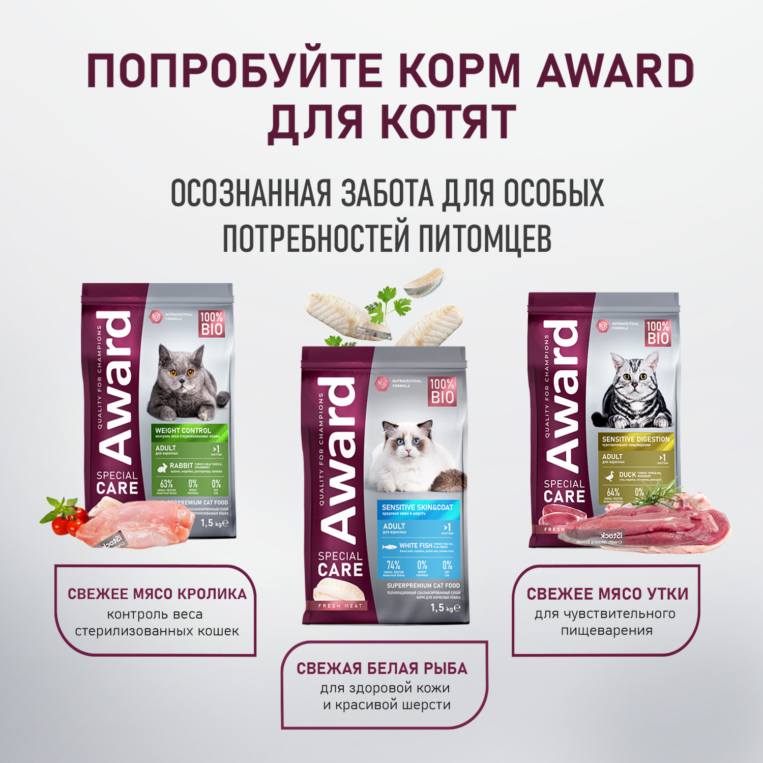 Влажный дополнит. корм AWARD SPECIAL CARE Urinary "мясное пюре" для взрослых кошек для профилактики мочекаменной болезни из курицы с кроликом 100г