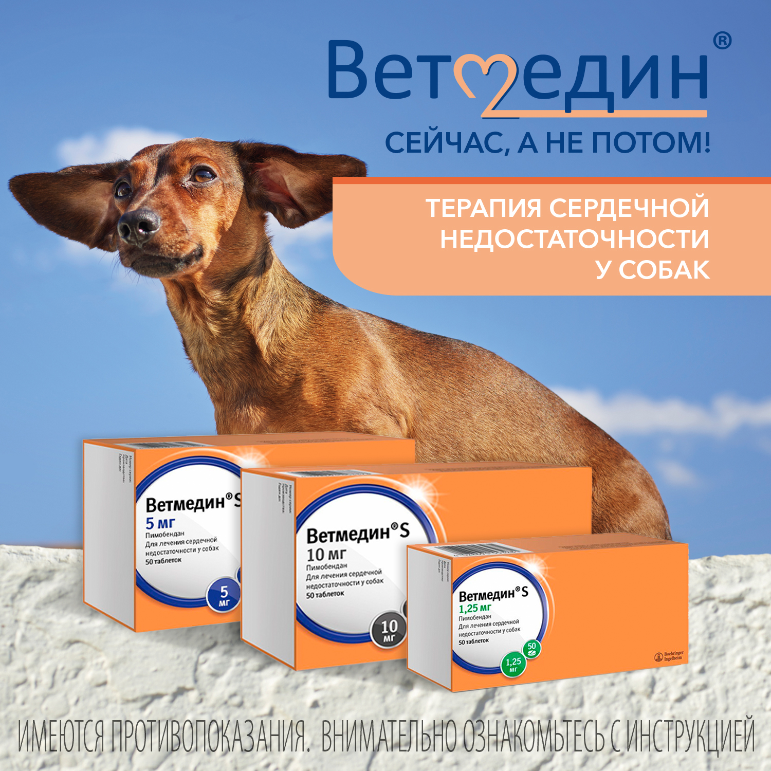 BI Ветмедин® S 5 мг – жевательные таблетки для лечения сердечной недостаточности у собак, 50 таб.