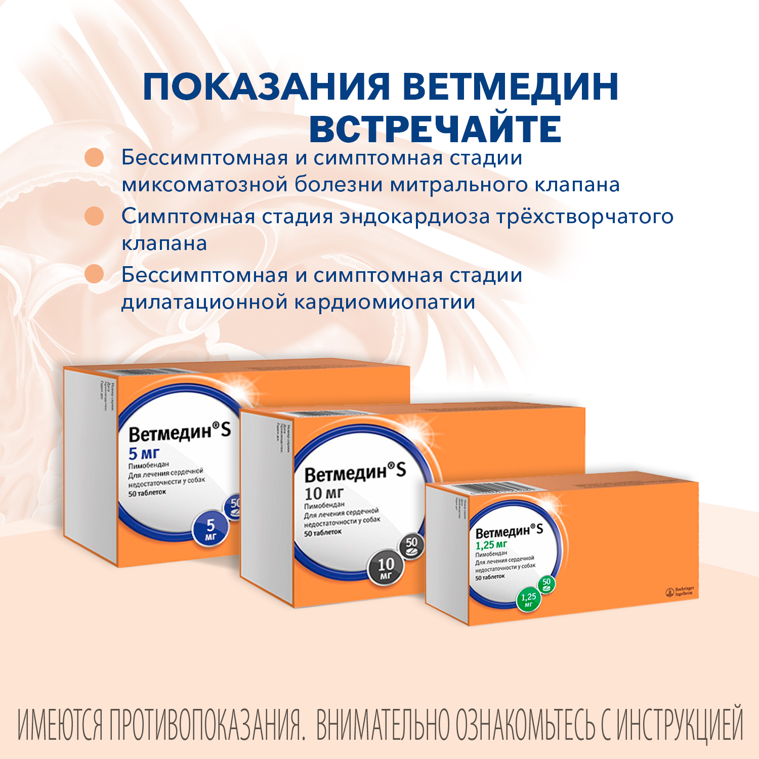 BI Ветмедин® S 5 мг – жевательные таблетки для лечения сердечной недостаточности у собак, 50 таб.