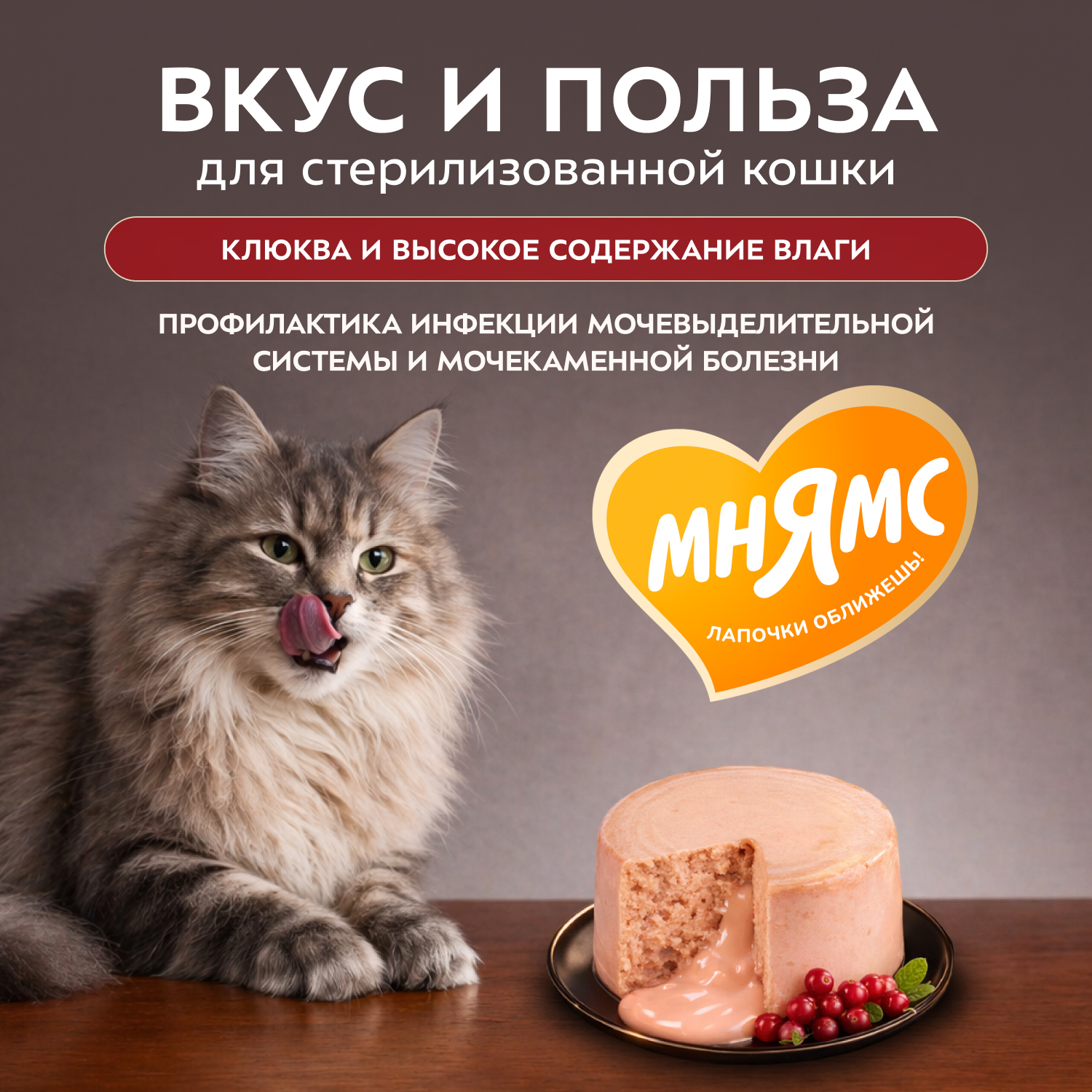 Влажный корм Мнямс Деликатес "Фондан" из мяса курицы с клюквой для стерилизованных кошек 80 г