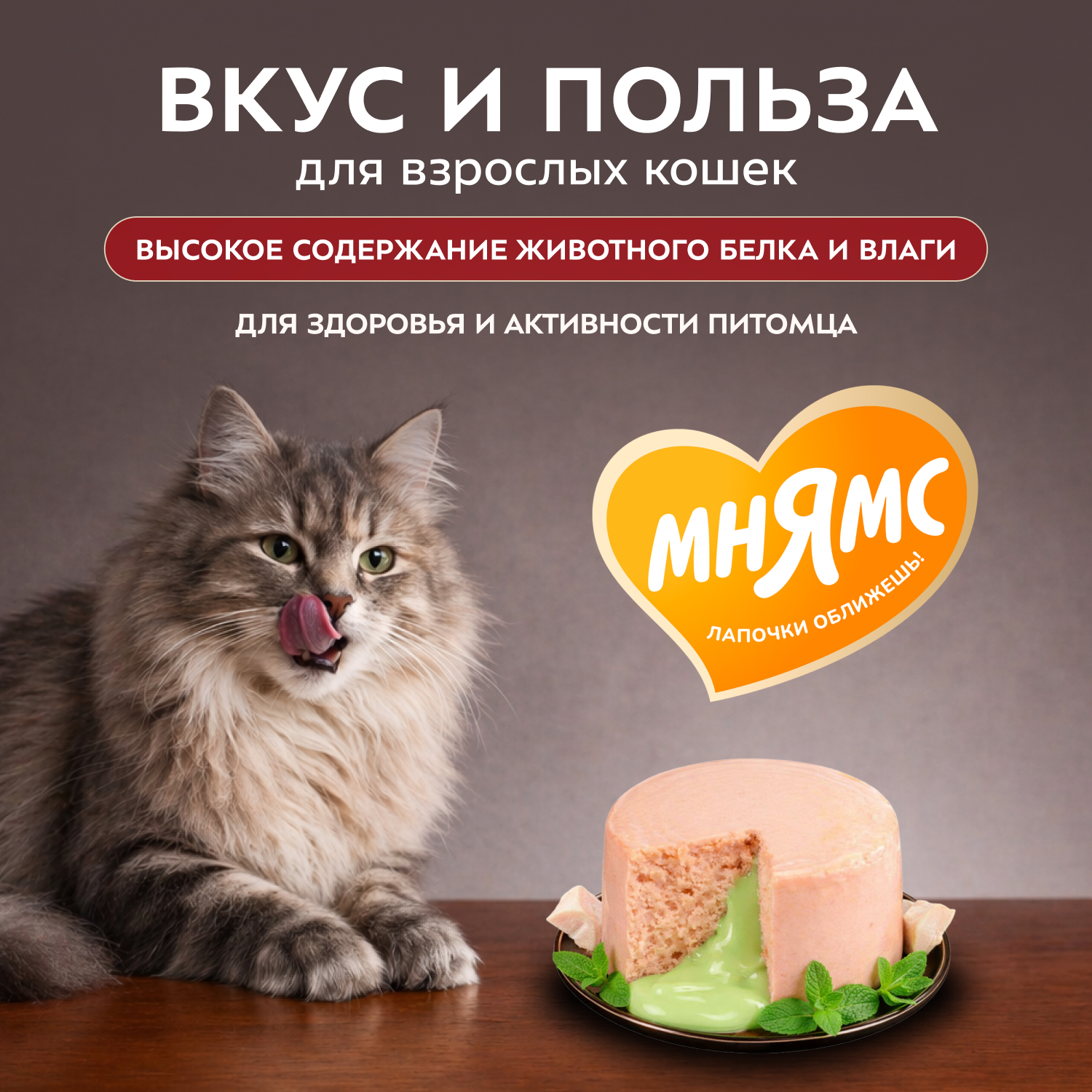Влажный корм Мнямс Деликатес "Фондан" из мяса курицы с кошачьей мятой для кошек 80 г