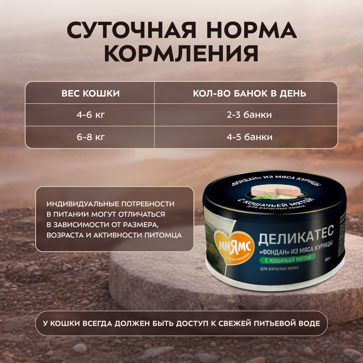 Влажный корм Мнямс Деликатес "Фондан" из мяса курицы с кошачьей мятой для кошек 80 г