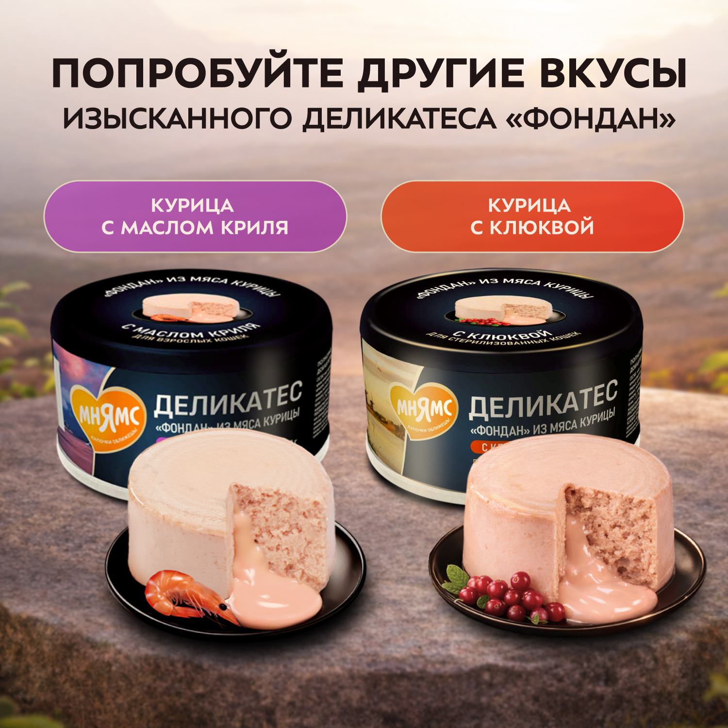 Влажный корм Мнямс Деликатес "Фондан" из мяса курицы с кошачьей мятой для кошек 80 г