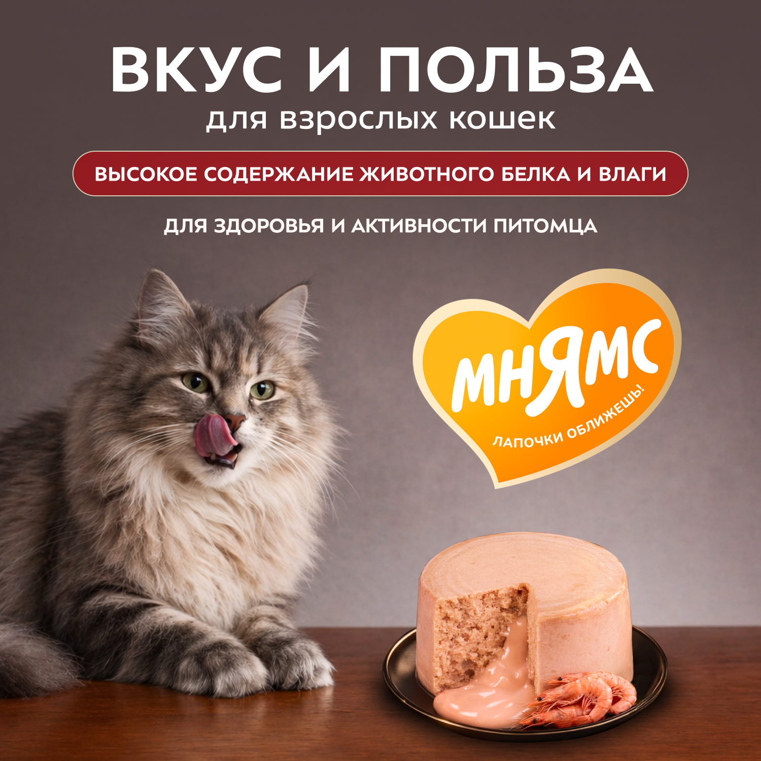 Влажный корм Мнямс Деликатес "Фондан" из мяса курицы с маслом криля для кошек 80 г