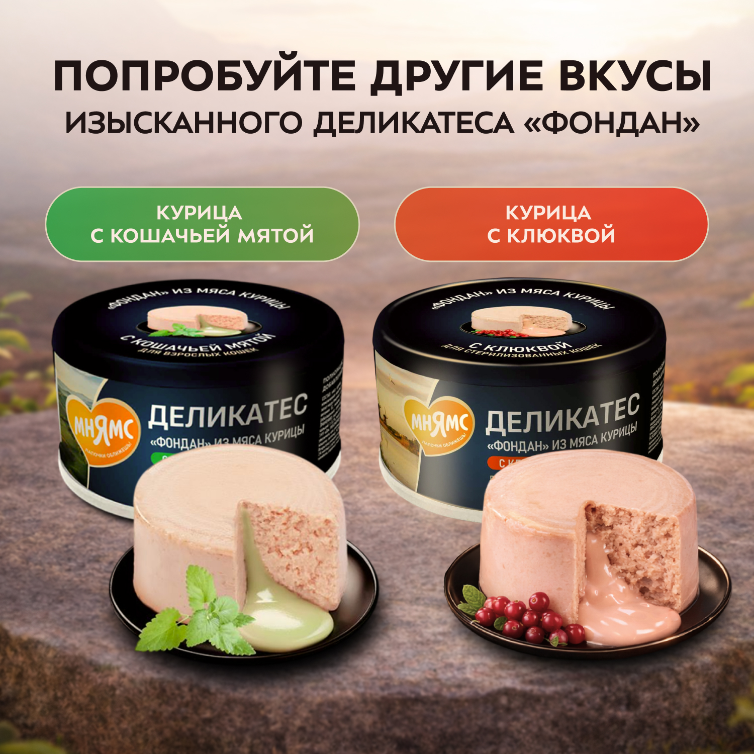 Влажный корм Мнямс Деликатес "Фондан" из мяса курицы с маслом криля для кошек 80 г