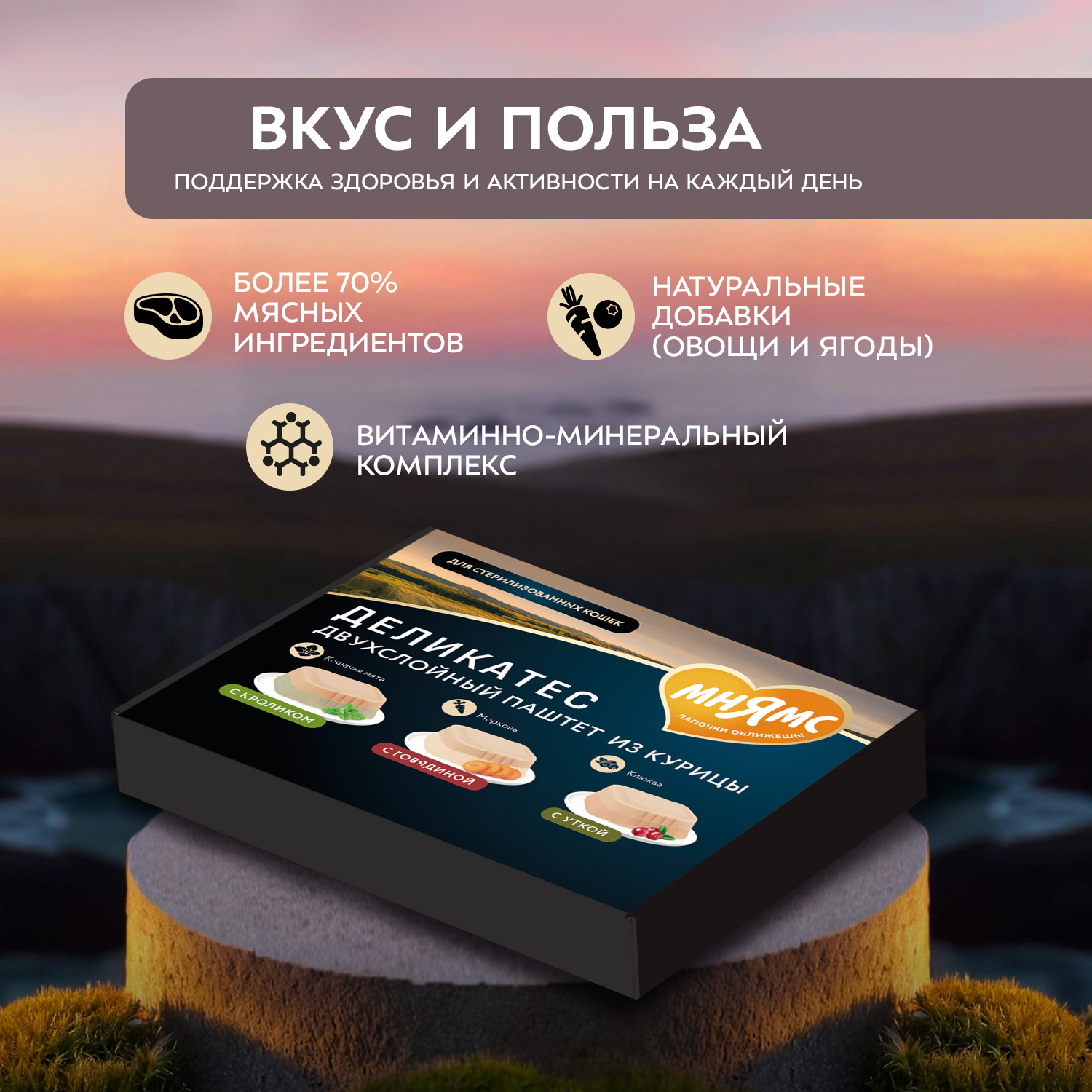 Влажный корм Мнямс Деликатес для взрослых и стерилизованных кошек «Ассорти двухслойных паштетов» 40 г х 6 шт.