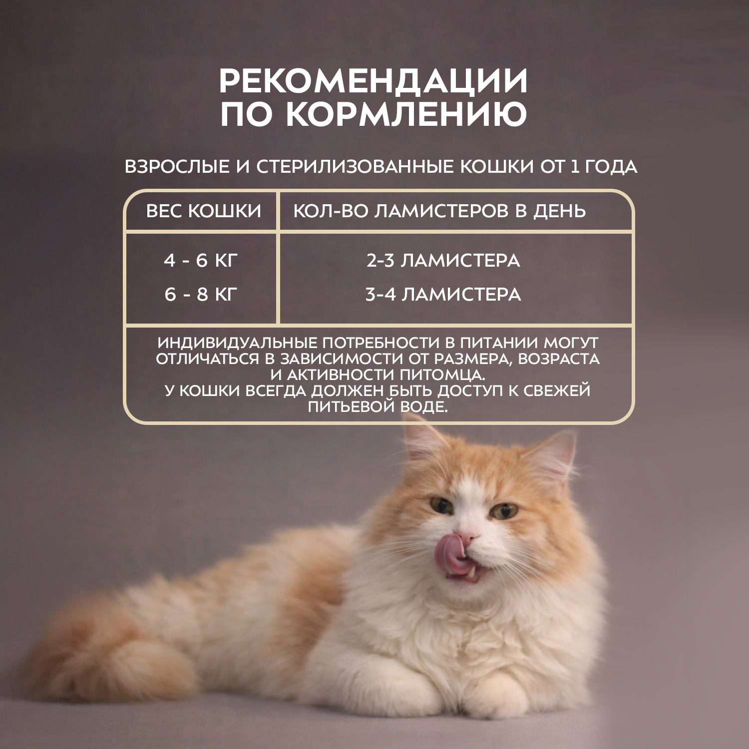 Влажный корм Мнямс Деликатес для взрослых и стерилизованных кошек «Ассорти двухслойных паштетов» 40 г х 6 шт.