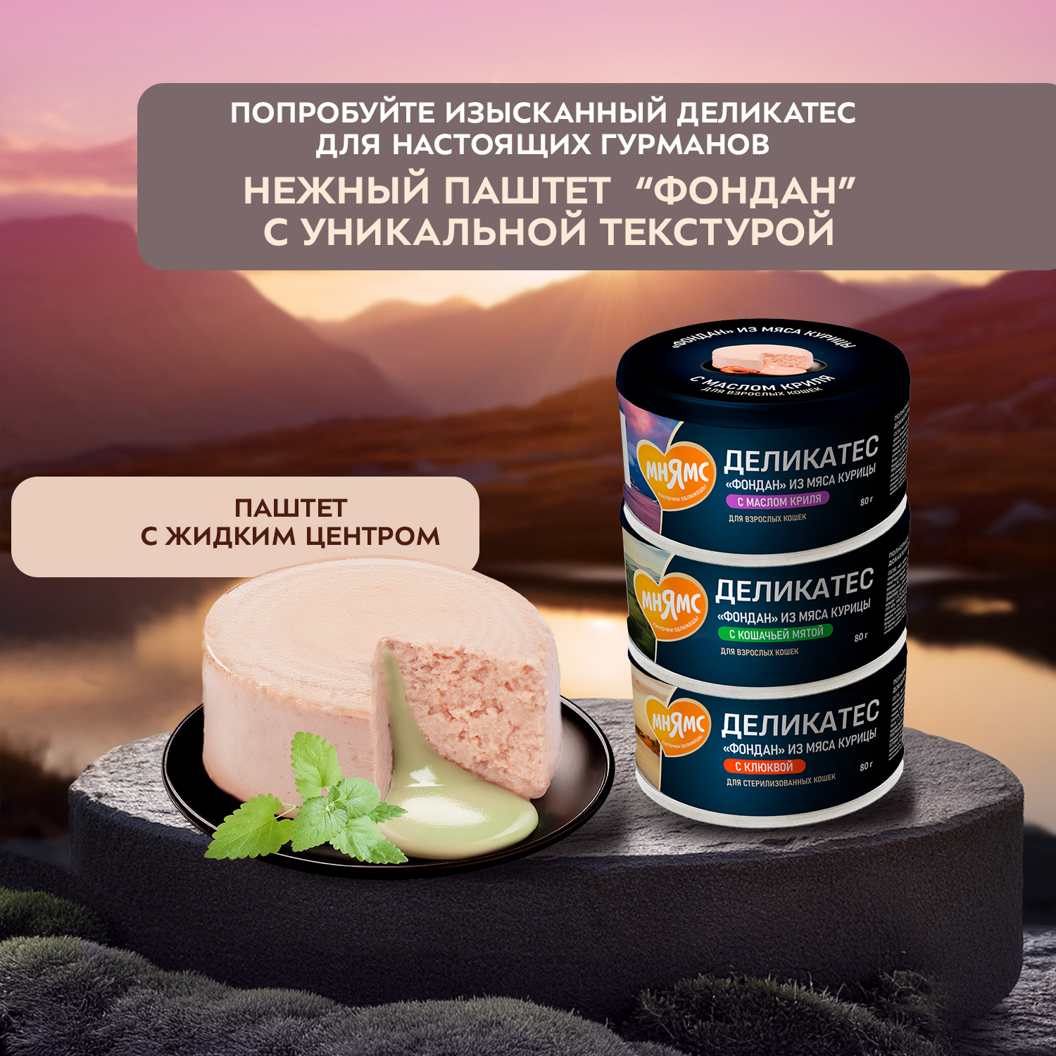 Влажный корм Мнямс Деликатес для взрослых и стерилизованных кошек «Ассорти двухслойных паштетов» 40 г х 6 шт.