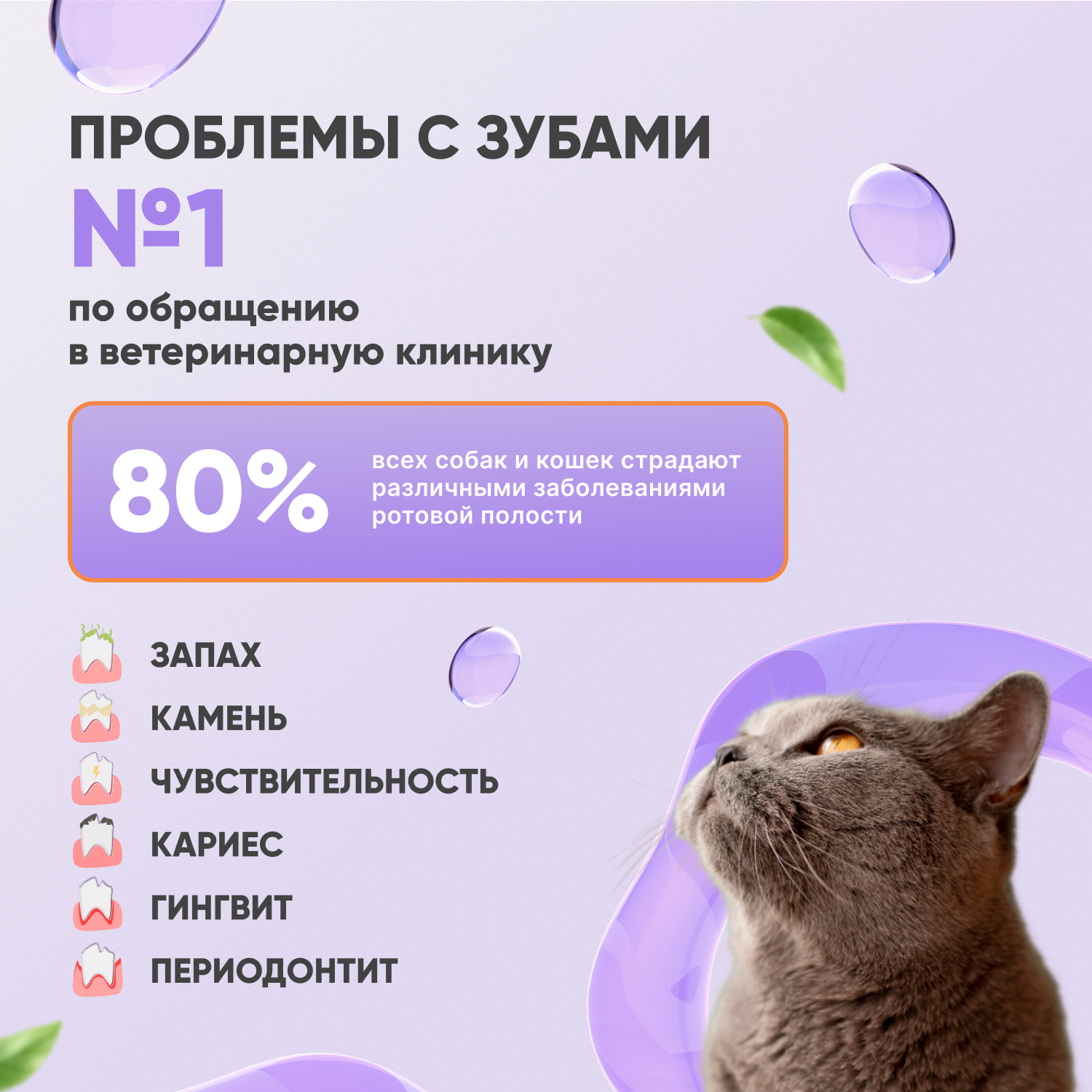 V.A.D.C. (ВИ.ЭЙ.ДИ.ЭС.) «Свежесть дыхания» зубная паста с ароматом говядины для собак и кошек, 50 мл