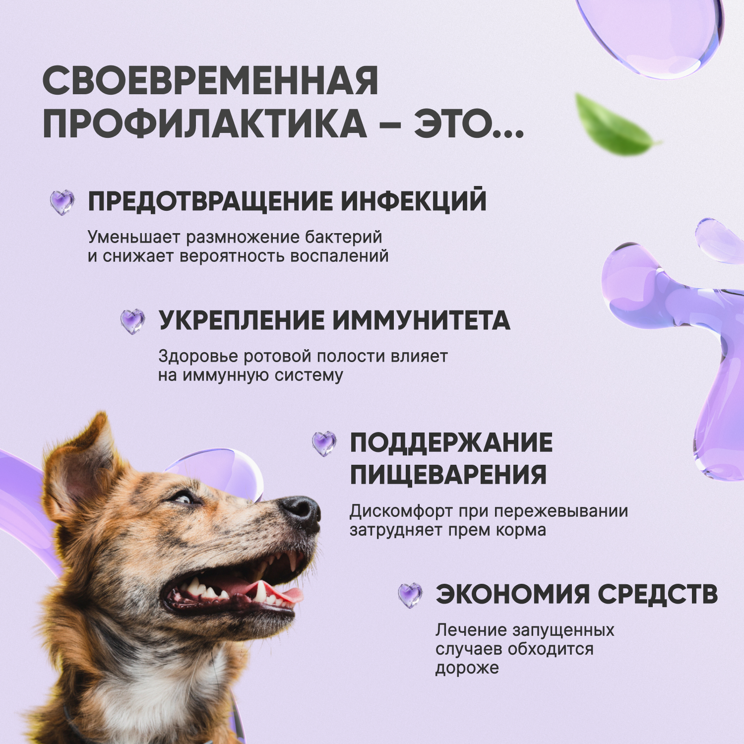 V.A.D.C. (ВИ.ЭЙ.ДИ.ЭС.) «Свежесть дыхания» зубная паста с ароматом говядины для собак и кошек, 50 мл