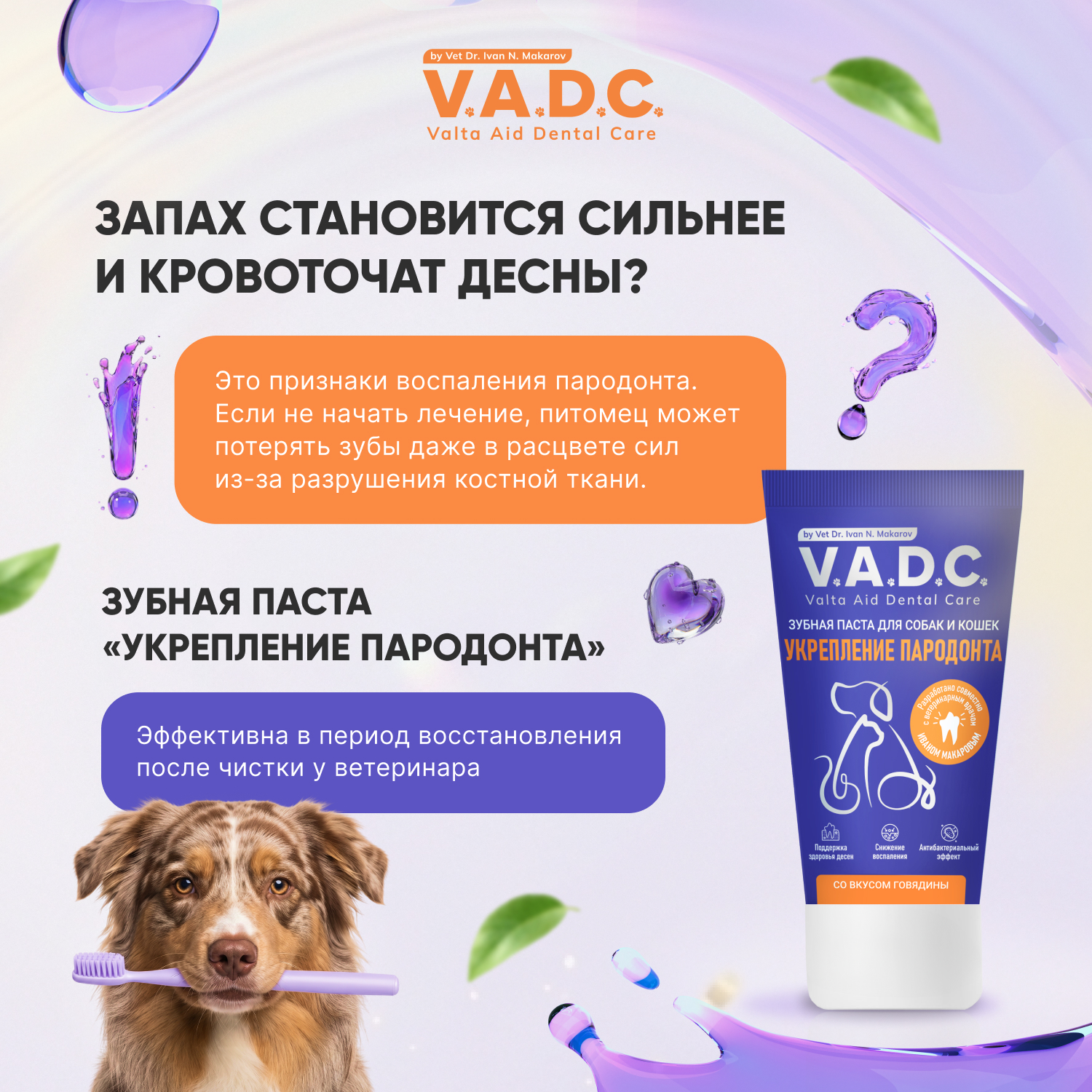 V.A.D.C. (ВИ.ЭЙ.ДИ.ЭС.) «Укрепление пародонта» зубная паста с ароматом говядины для собак и кошек, 50 мл