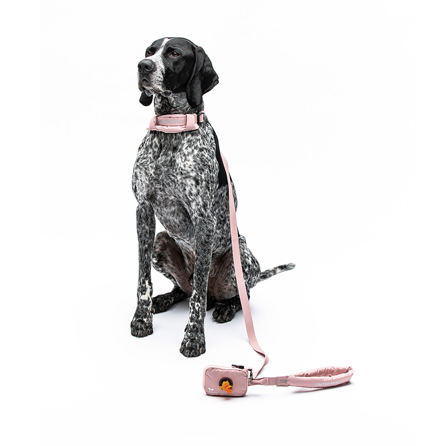 Ошейник United Pets с мягкой подкладкой для собак Citylife S 15 x 30-40 см пыльная роза