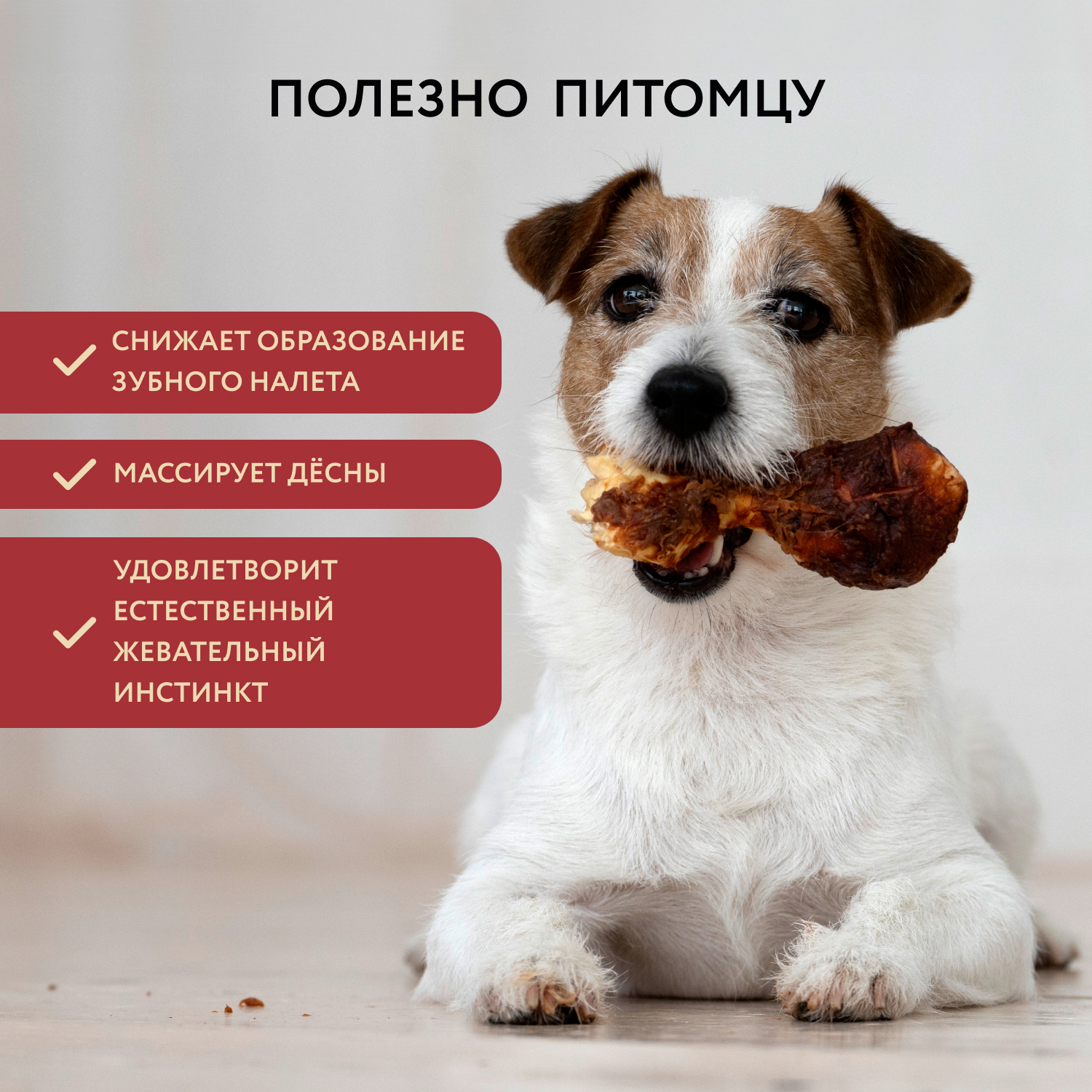 Лакомство Мнямс Деликатес Пармская косточка для собак размер S 35 г