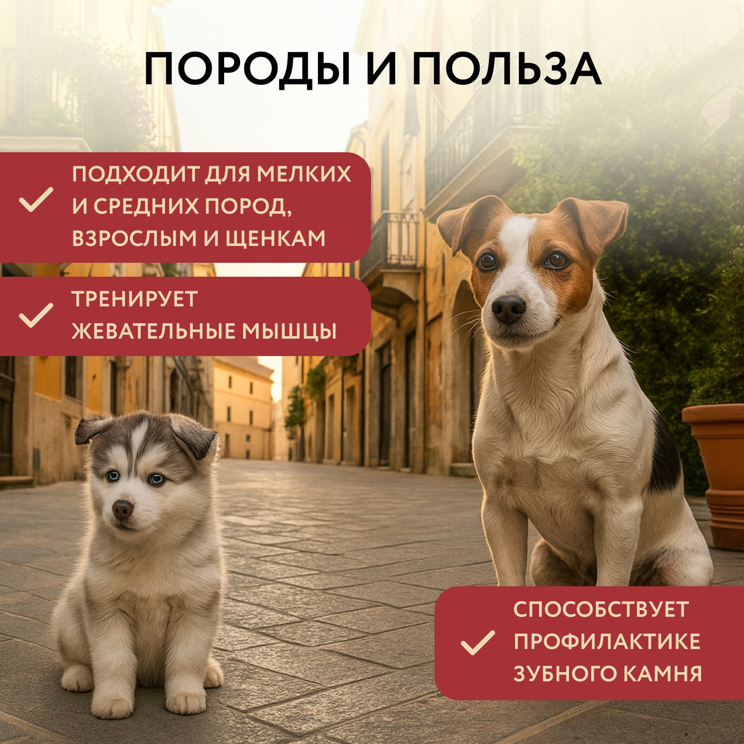 Лакомство Мнямс Деликатес Пармская косточка для собак размер S 35 г