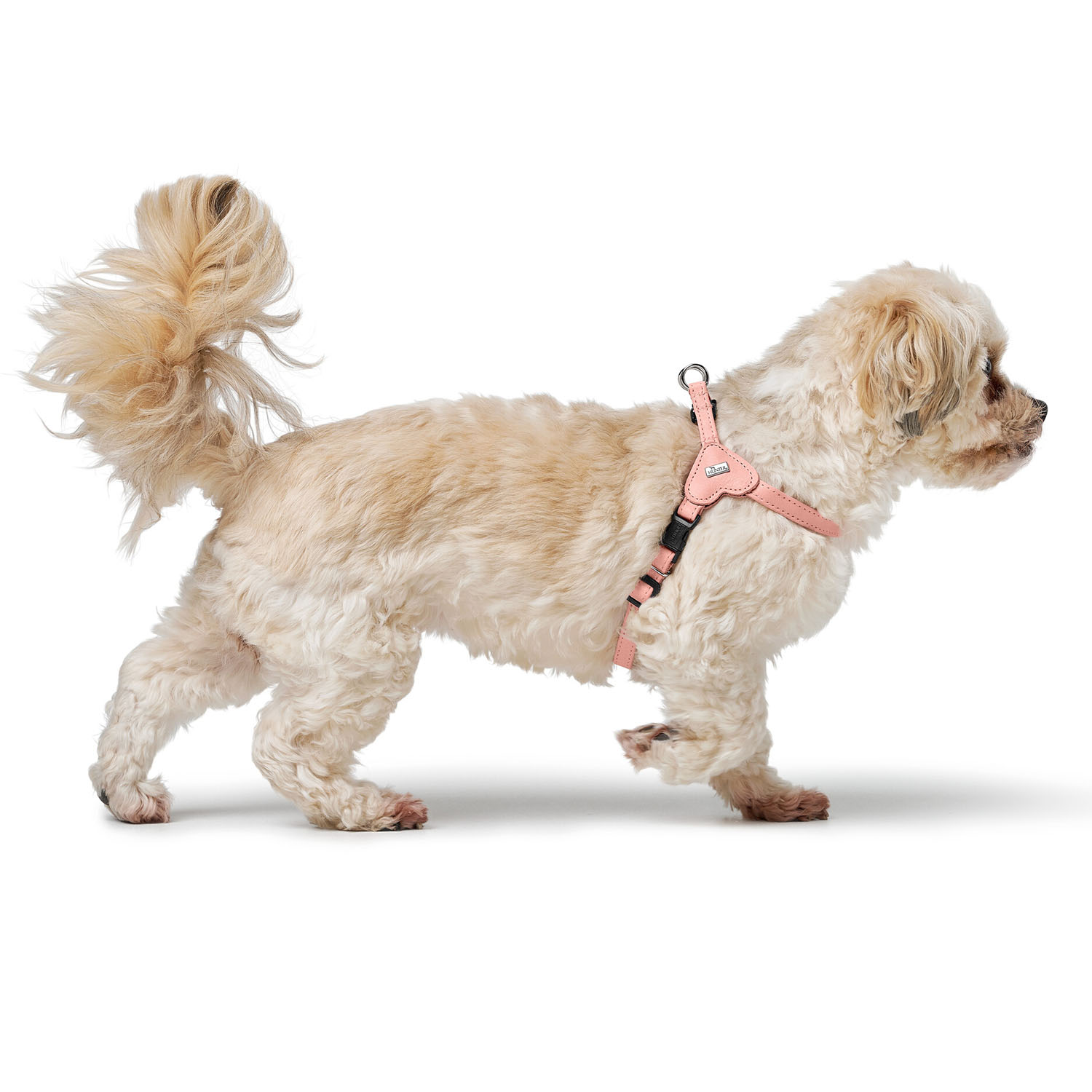 Hunter шлейка для собак Soho Mini XS (30-39 см), натуральная кожа, розовая