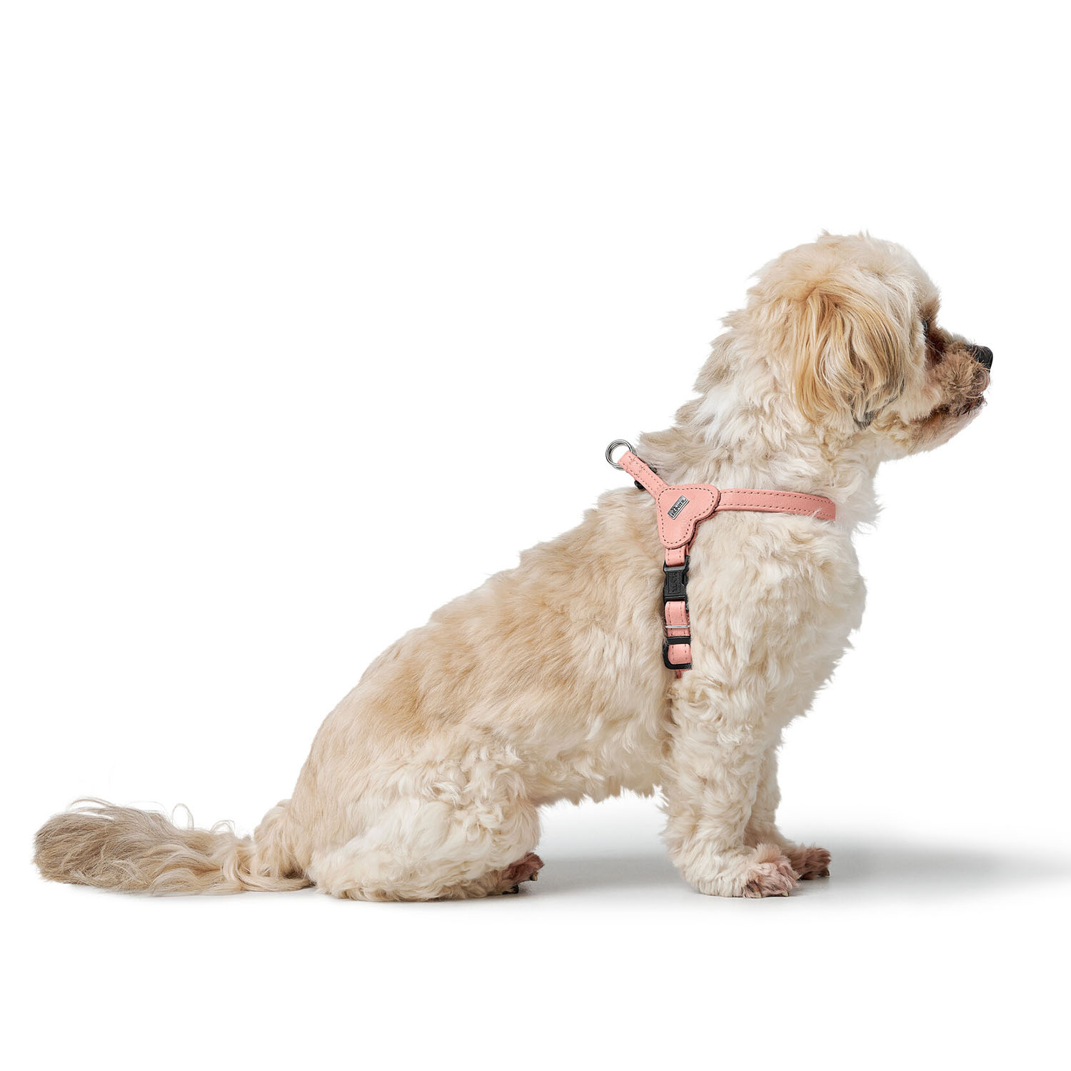 Hunter шлейка для собак Soho Mini XS (30-39 см), натуральная кожа, розовая