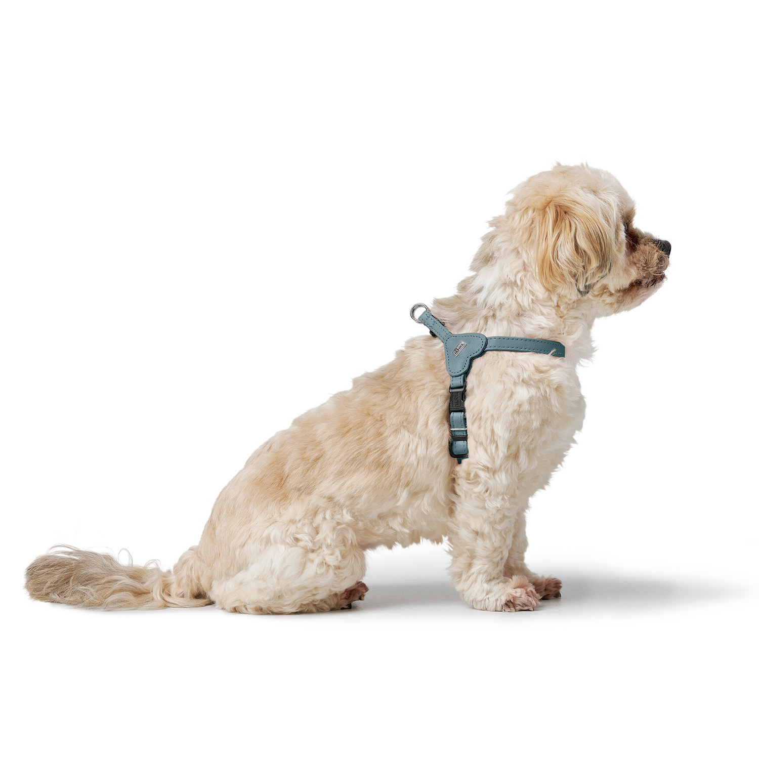 Hunter шлейка для собак Soho Mini XXS-XS (26-31 см), натуральная кожа, голубая