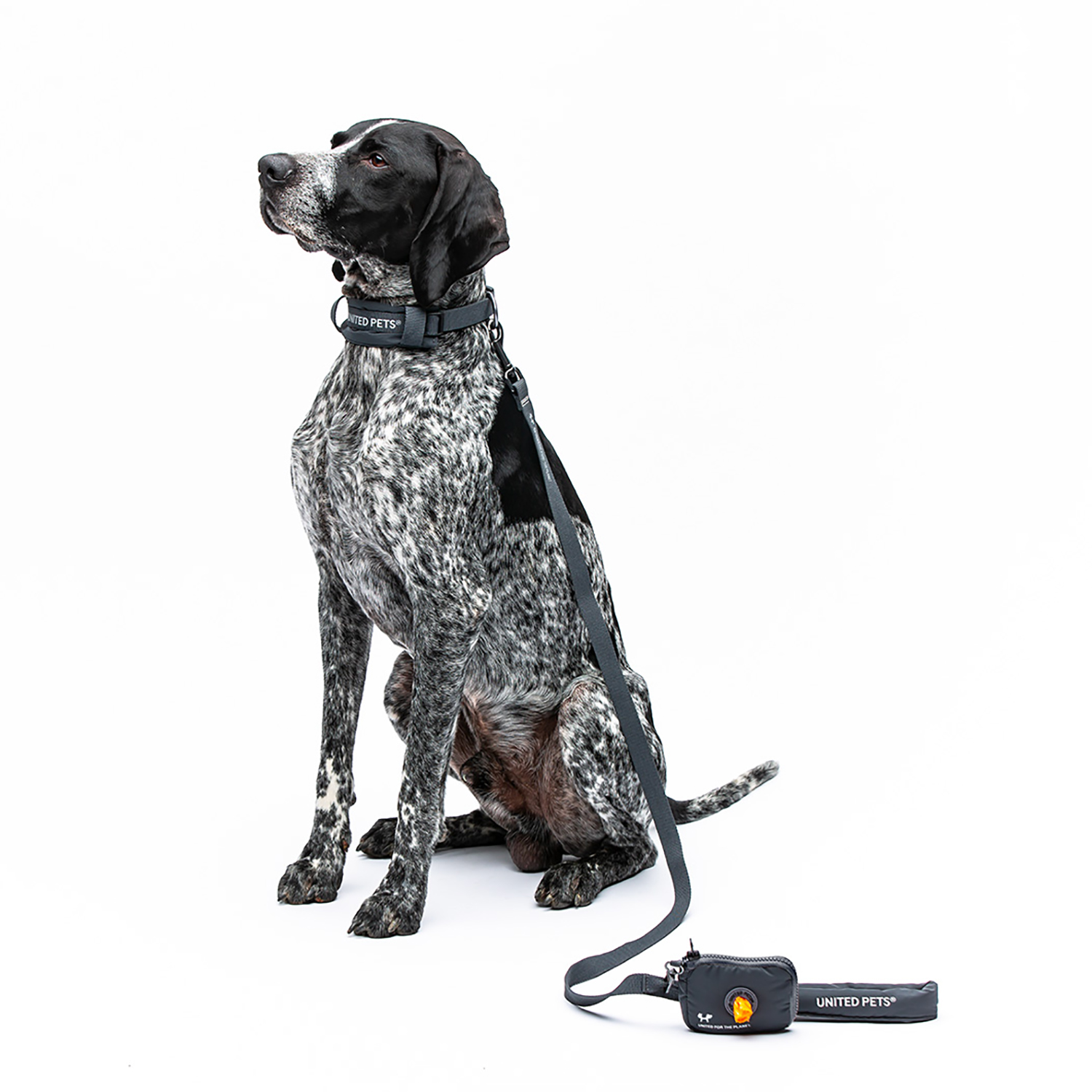 Ошейник United Pets с мягкой подкладкой для собак Citylife M 20 x 35-50 см черный