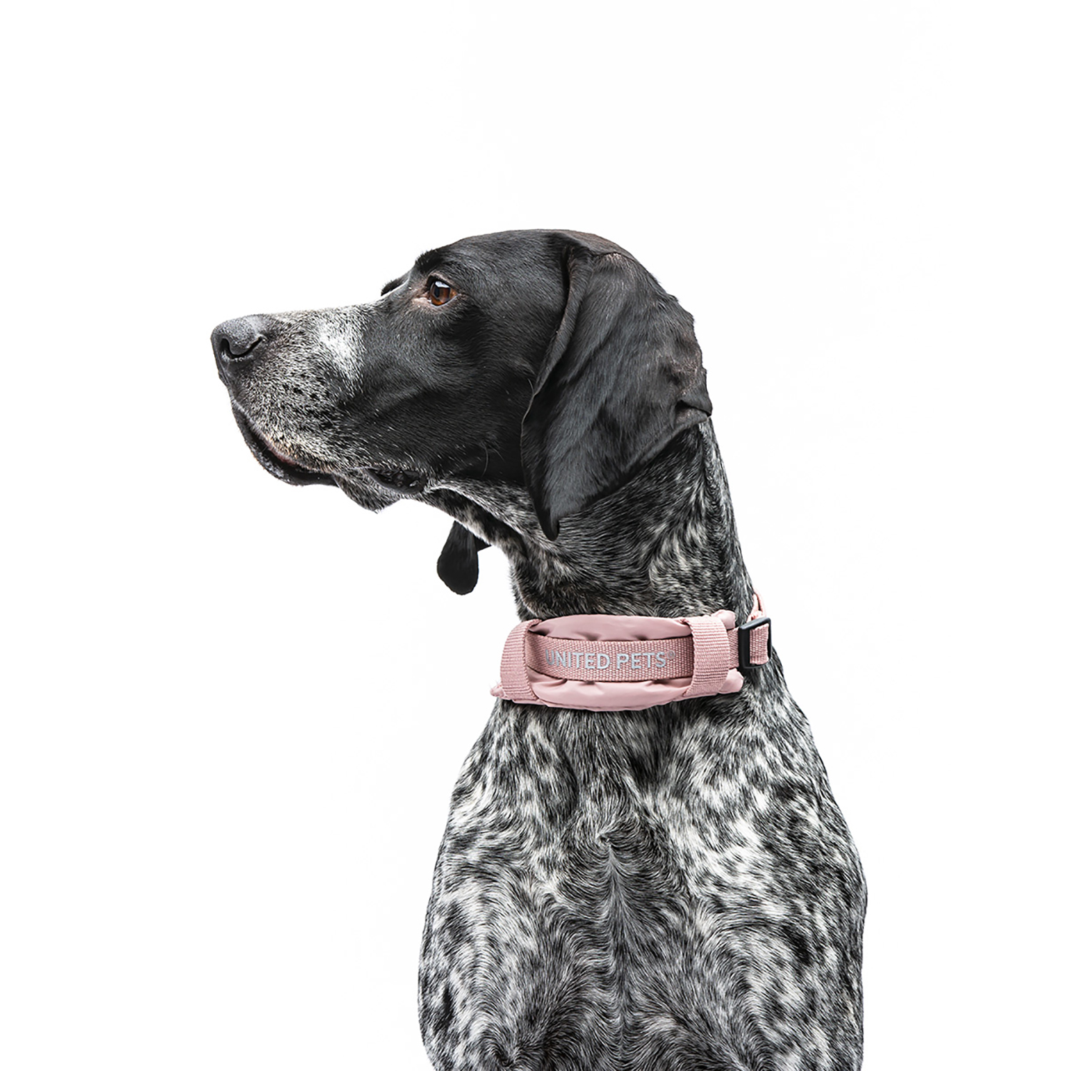 Ошейник United Pets с мягкой подкладкой для собак Citylife M 20 x 35-50 см пыльная роза
