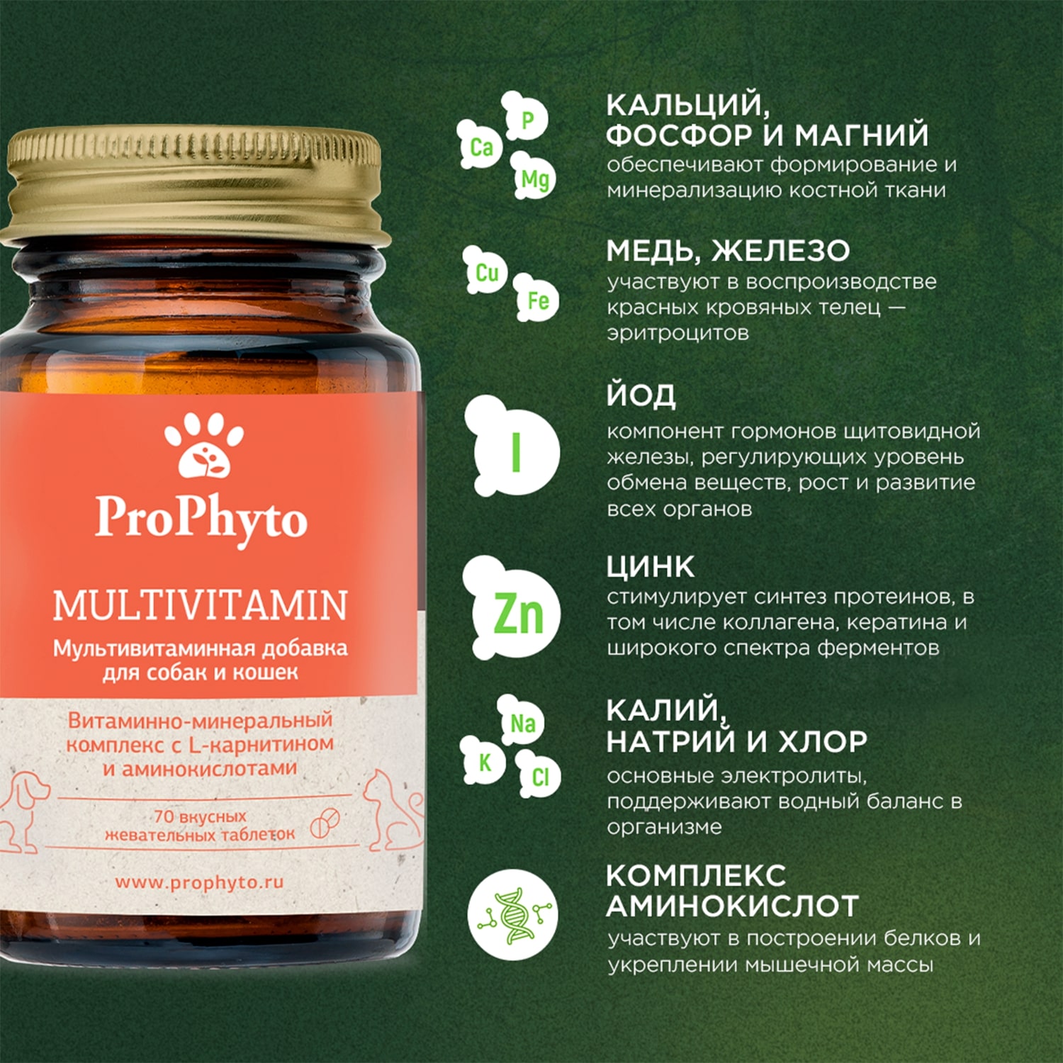 ProPhyto Мультивитамин, 70 таблеток