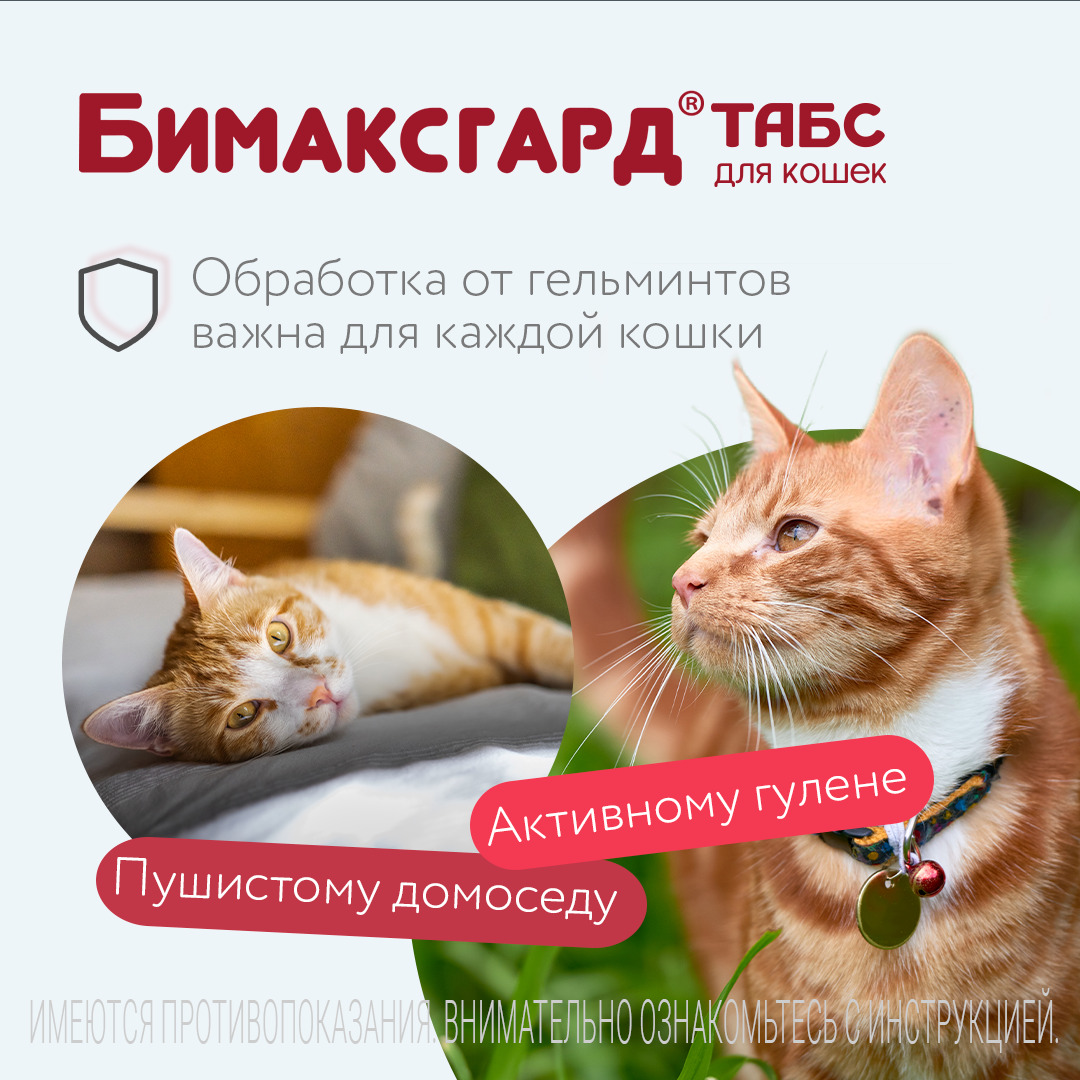 Бимаксгард® ТАБС антигельминтный препарат для котят и маленьких кошек, 2 таб.