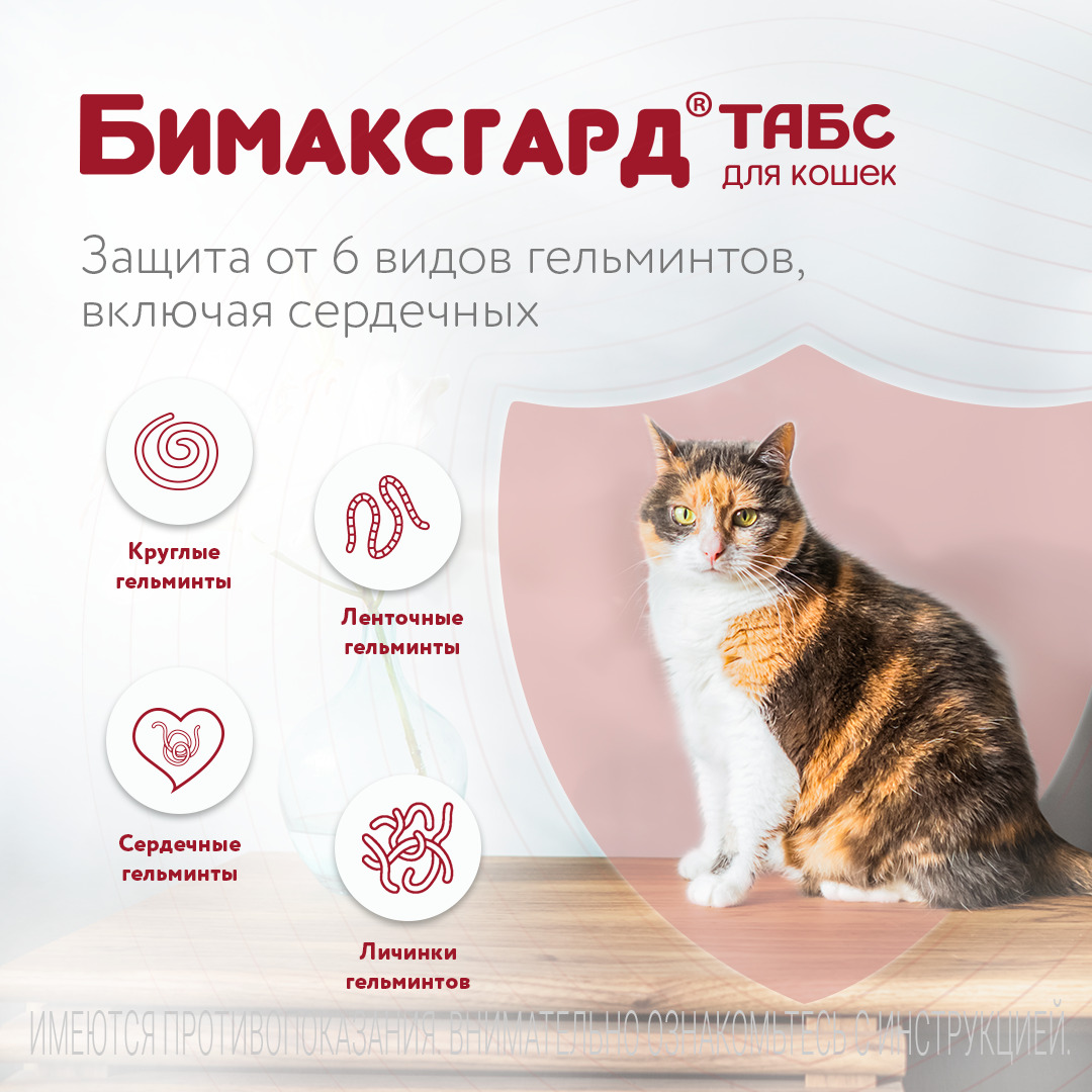 Бимаксгард® ТАБС антигельминтный препарат для котят и маленьких кошек, 2 таб.