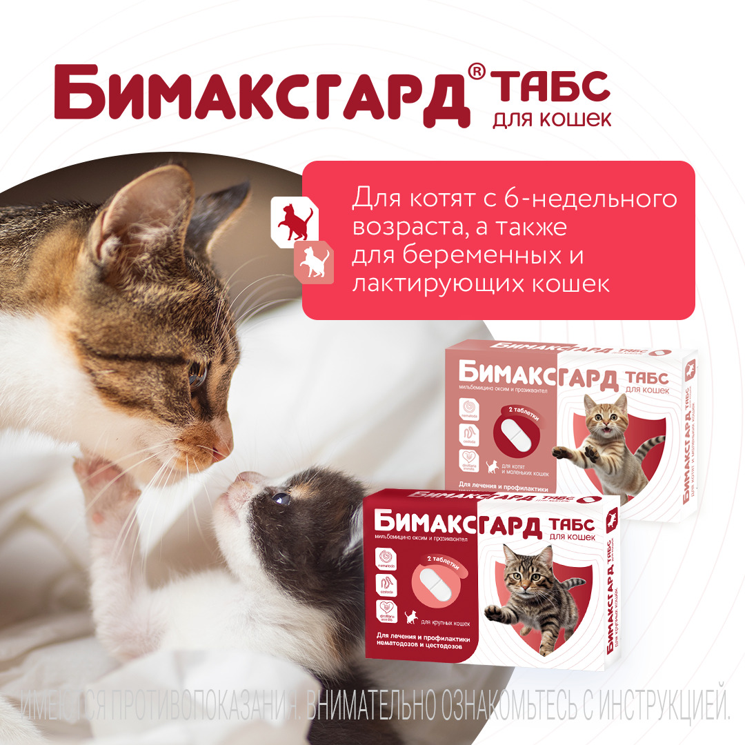 Бимаксгард® ТАБС антигельминтный препарат для котят и маленьких кошек, 2 таб.