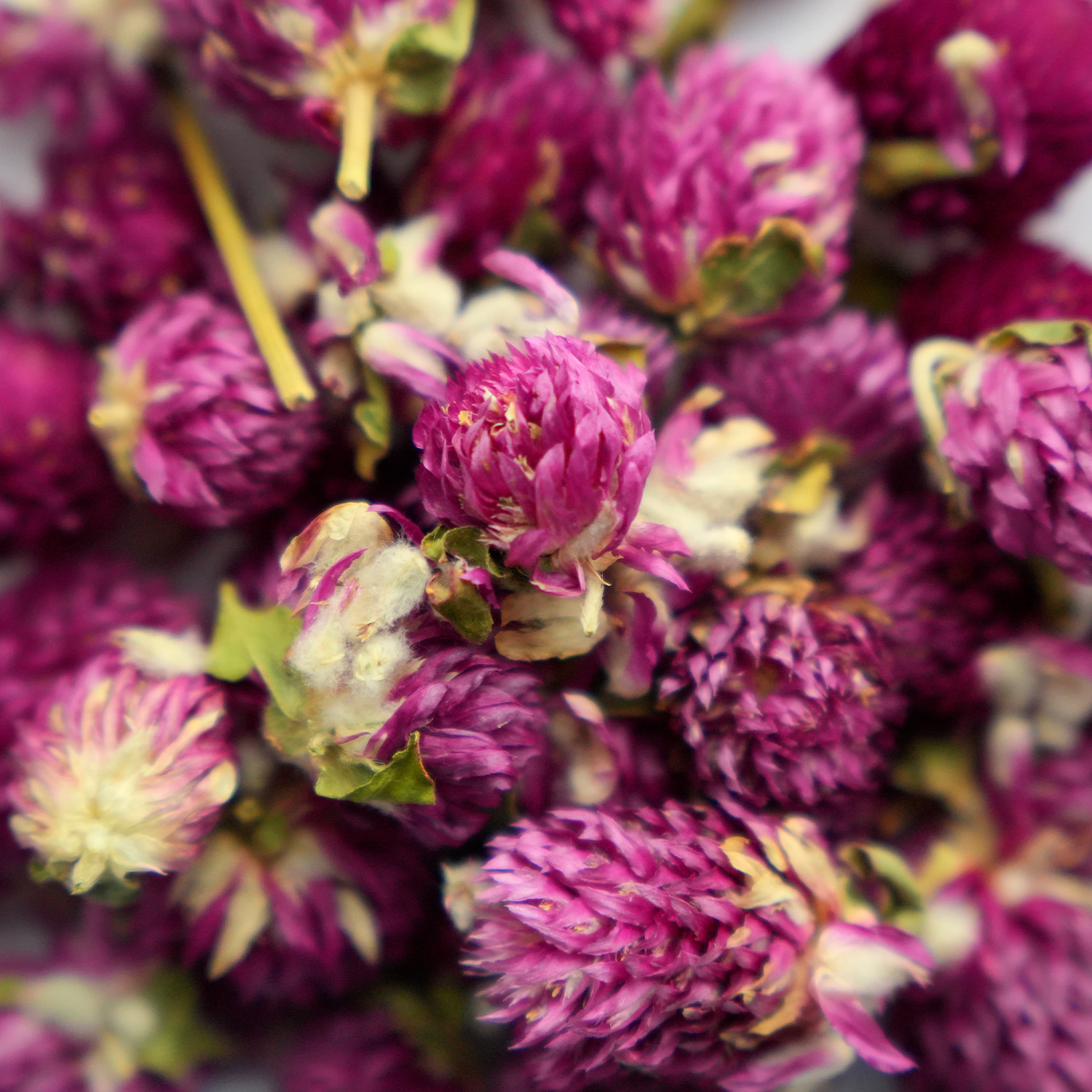 Лакомство Bambini Pets высушенные цветы клевера для грызунов и кроликов, 10 г.