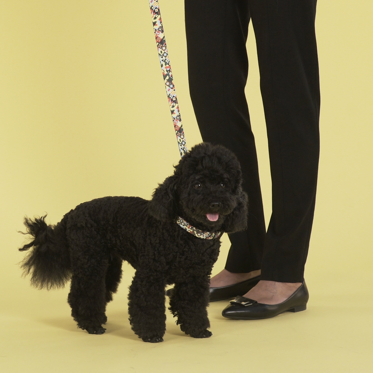 Поводок United Pets для собак Complete me 120 см, 25 мм, разноцветный рисунок