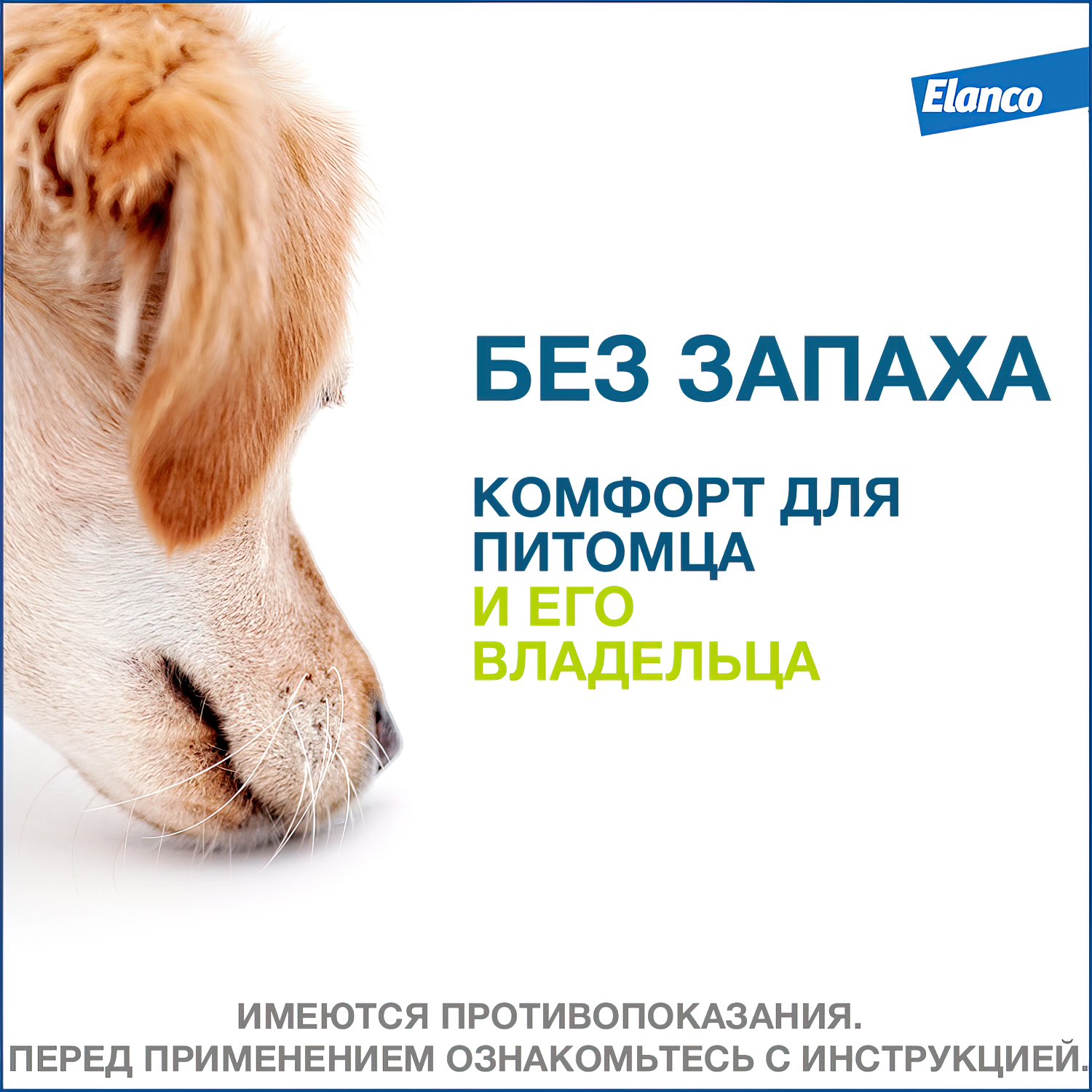 Bayer Форесто ошейник от клещей и блох для собак более 8 кг, 70 см