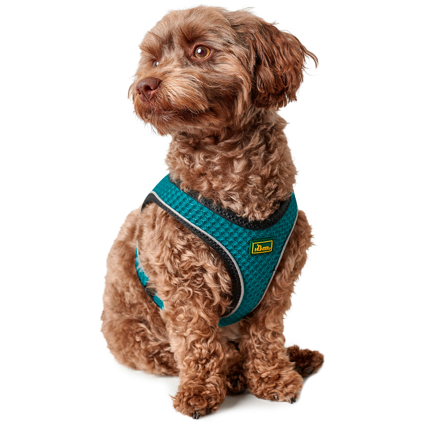 Hunter шлейка для собак Hilo Comfort 26-33 см, сетчатый текстиль, бирюзоваяя