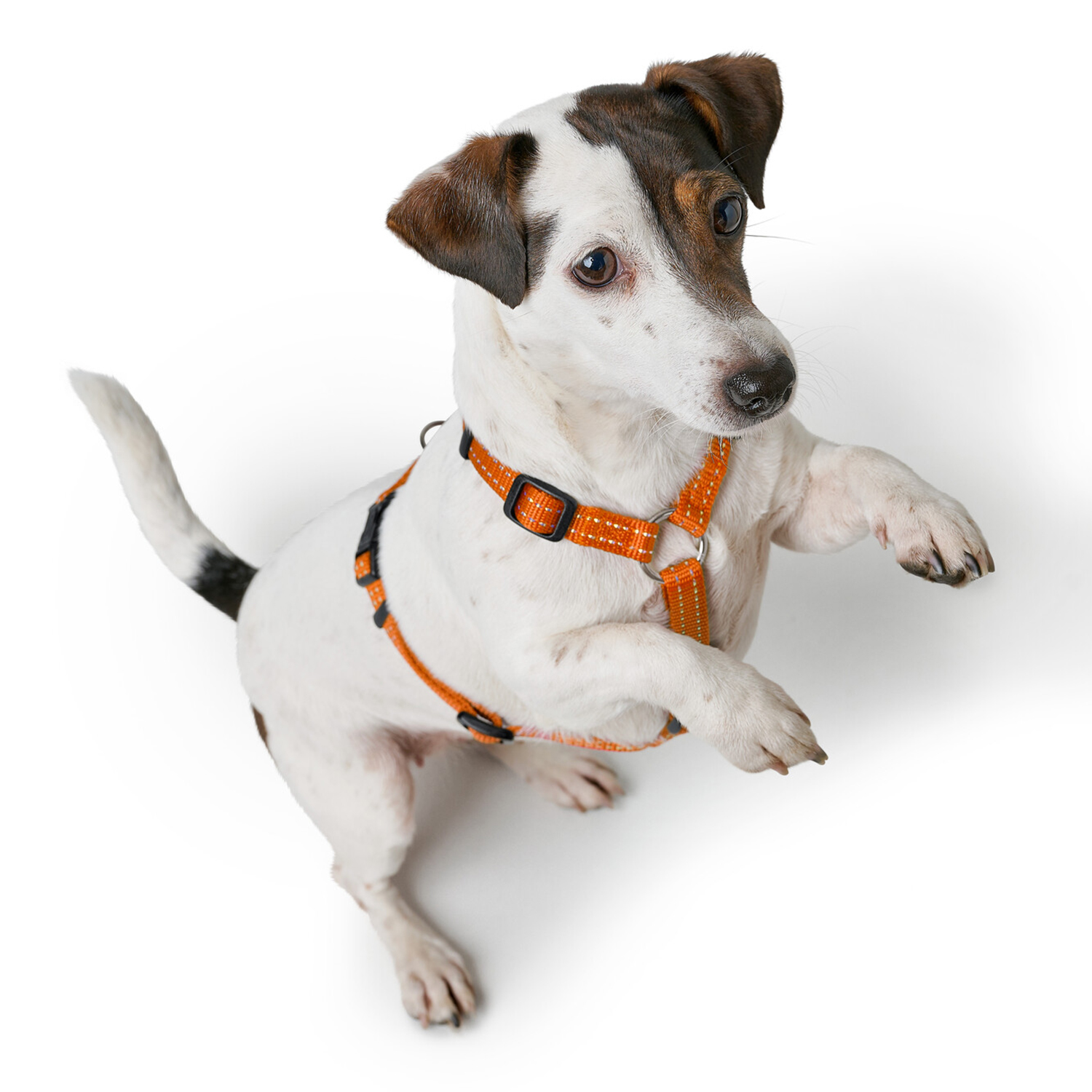 Hunter шлейка для собак Tripoli XXS-XS (32-44 см), нейлон оранжевая, светоотражающая