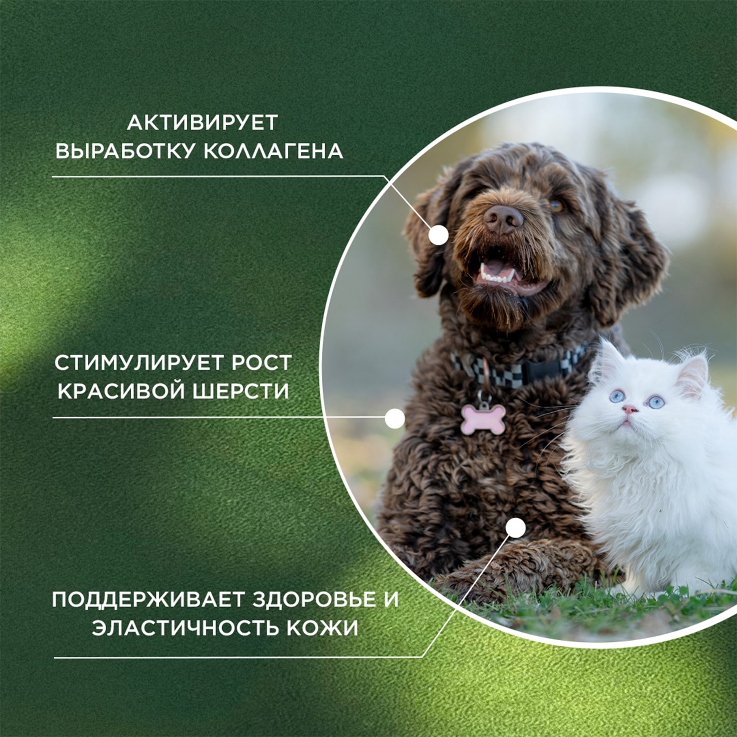 ProPhyto для Кожи и Шерсти, 100 таблеток