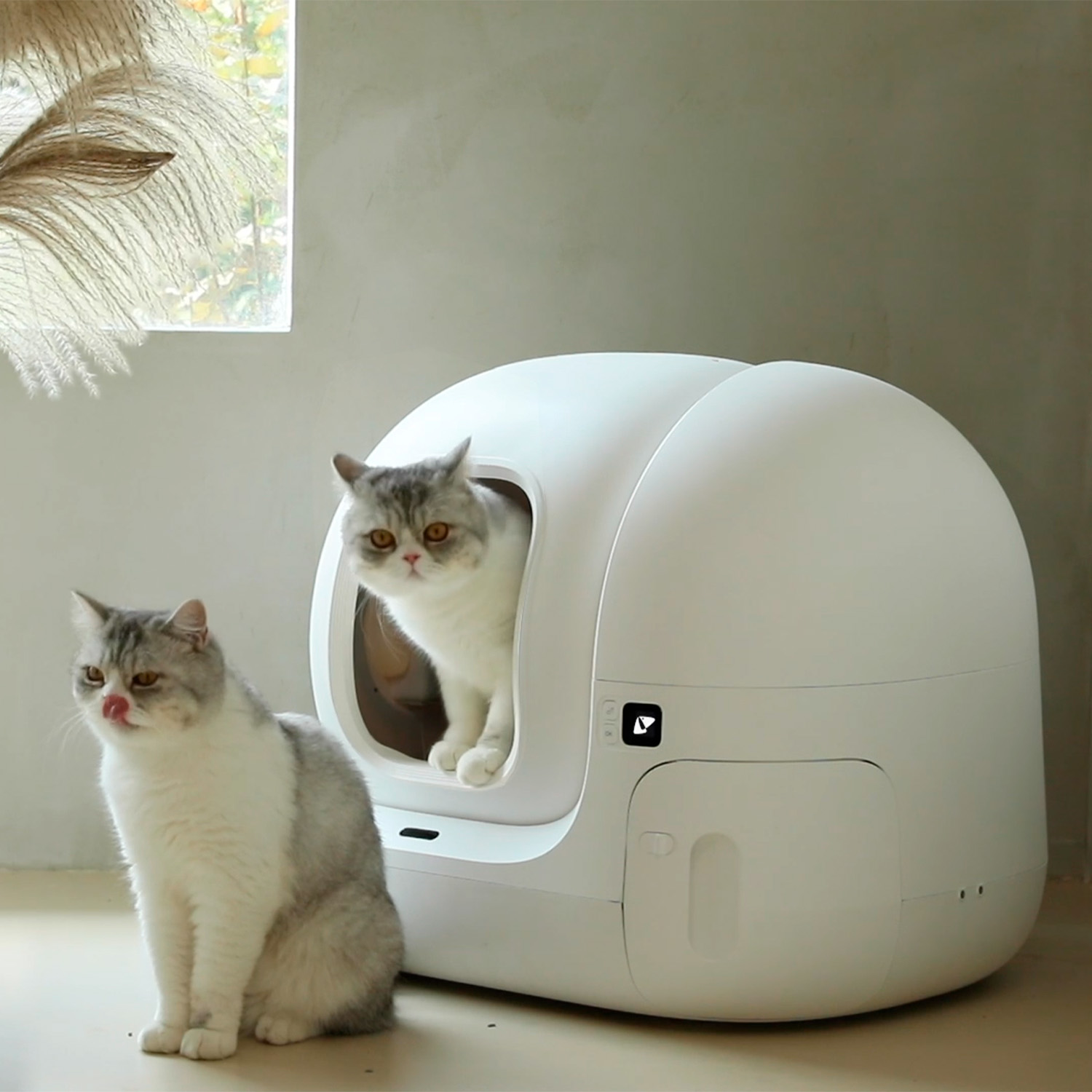 PETKIT Pura Max 2 Автоматический лоток комплектация