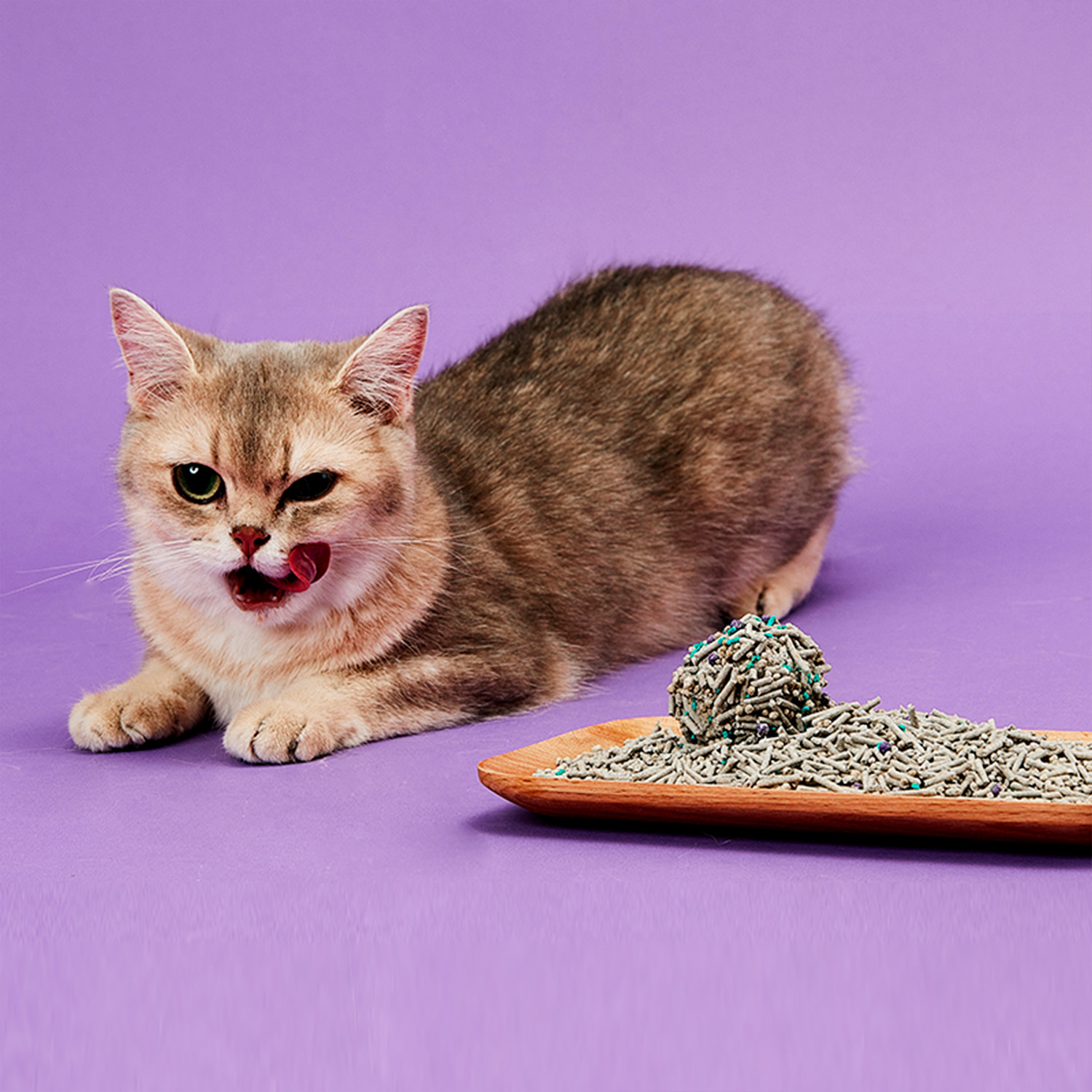 PETKIT Наполнитель для кошачьего туалета смесь 5 в 1