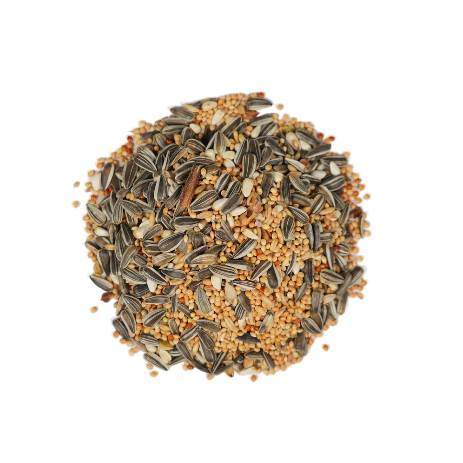 FIORY корм для средних попугаев Pet Paradise 1 кг