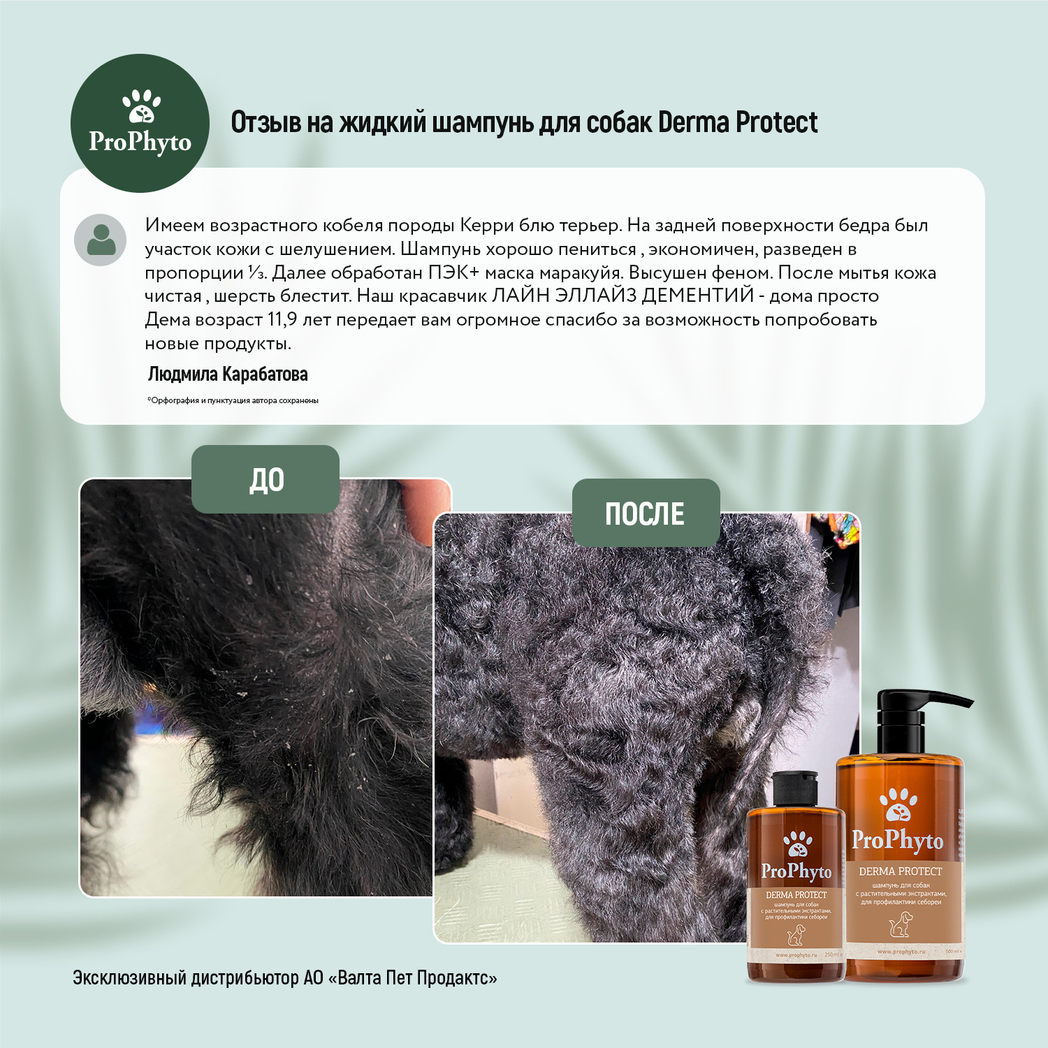Жидкий шампунь ProPhyto DERMA PROTECT SHAMPOO для собак с растительными экстрактами против перхоти и себореи, 250 мл